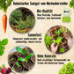 Bio Gemüsesamen Probierset mit 15 Sorten
