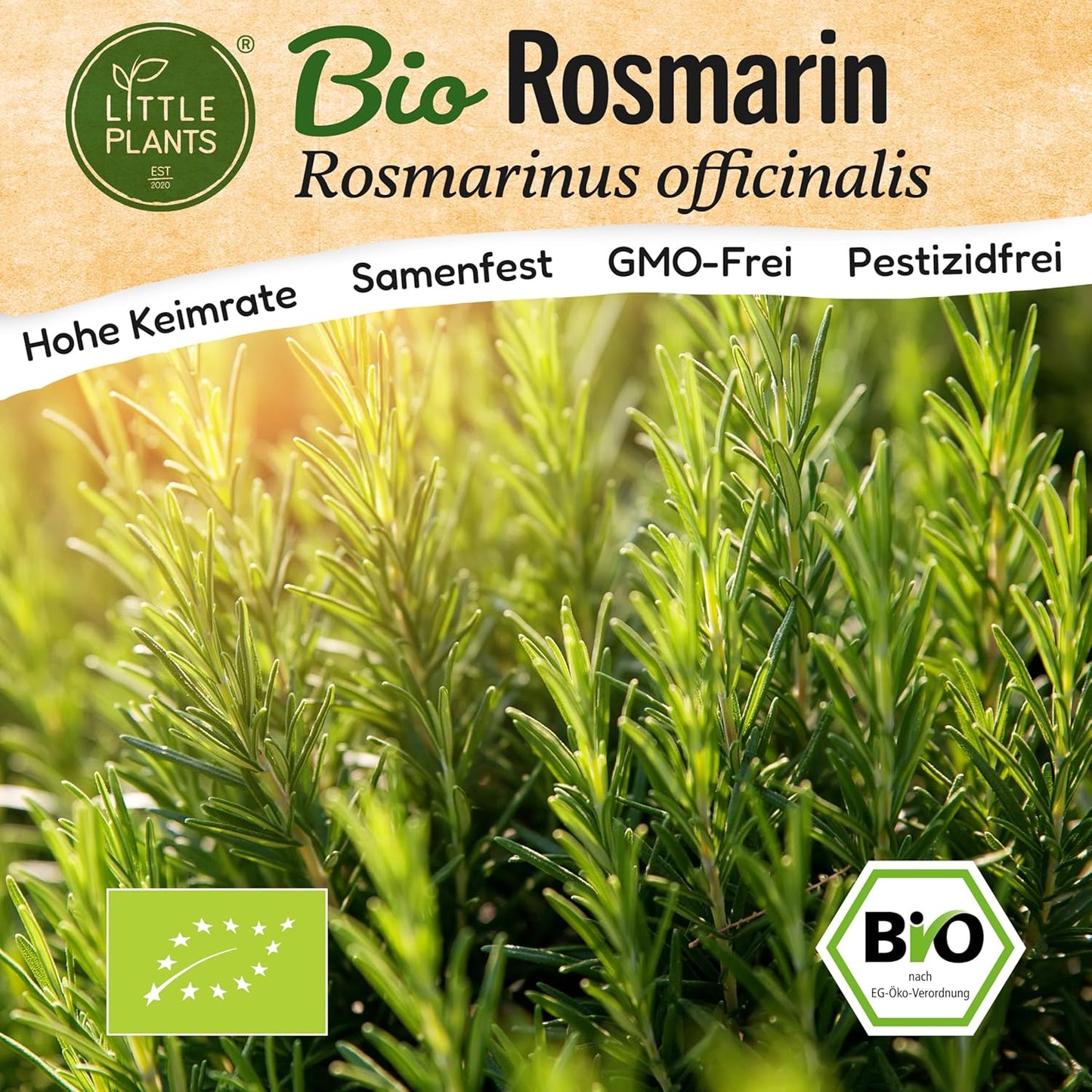 Bio-Rosmarin