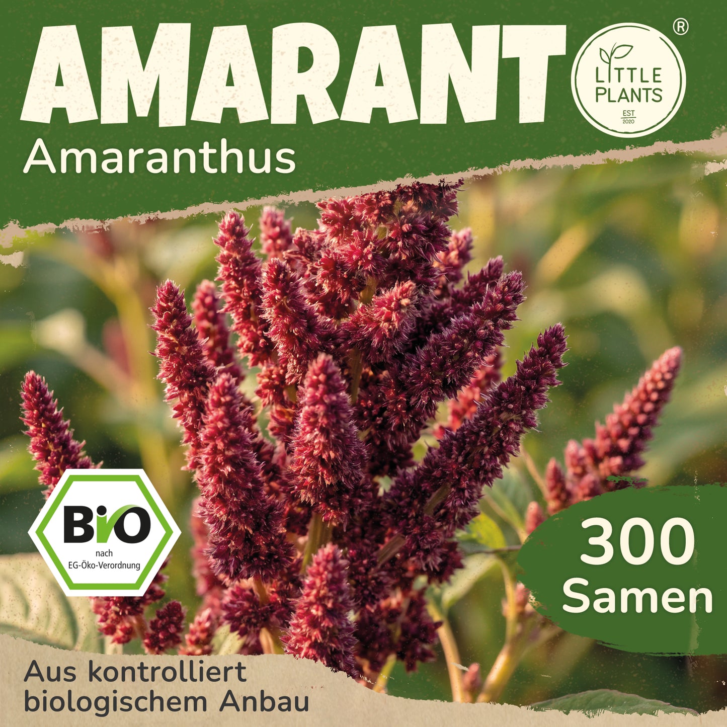Bio-Amarant