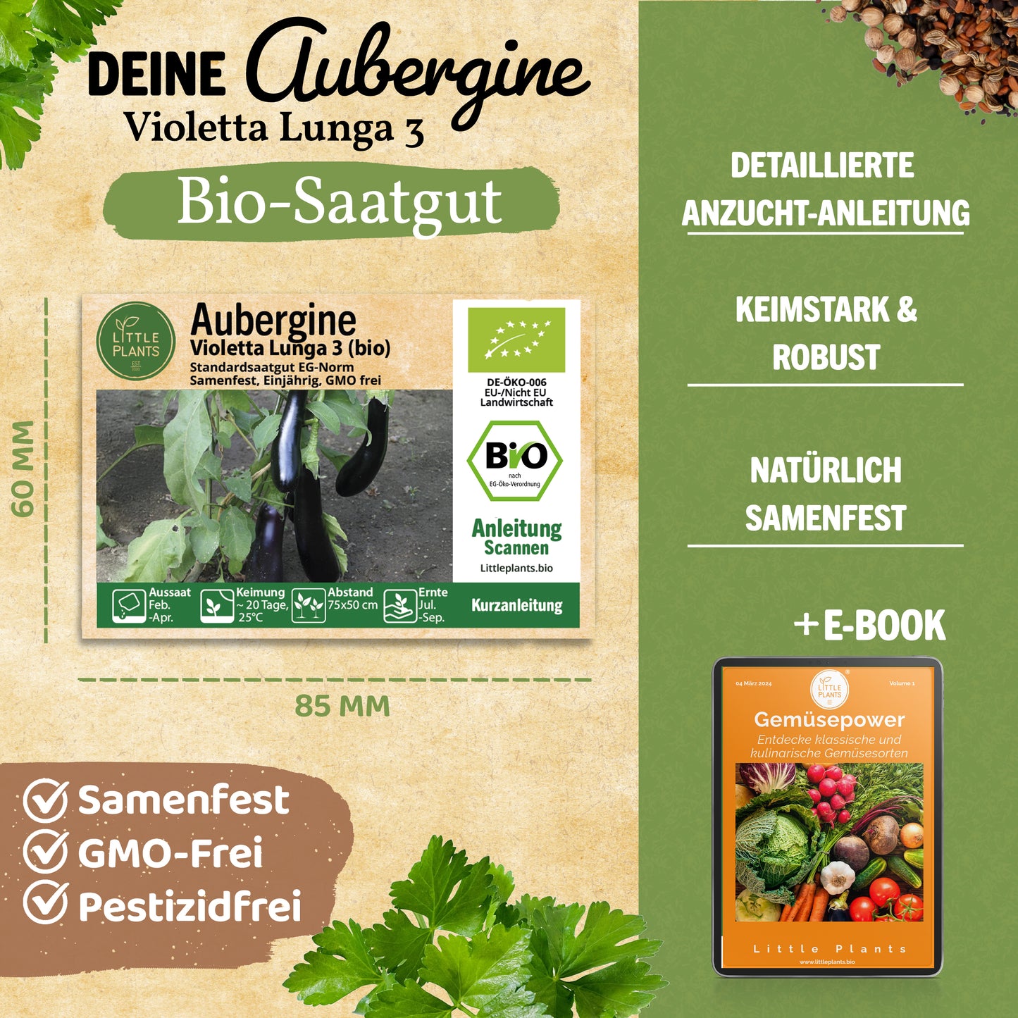 Bio-Aubergine (Violetta Lunga 3)