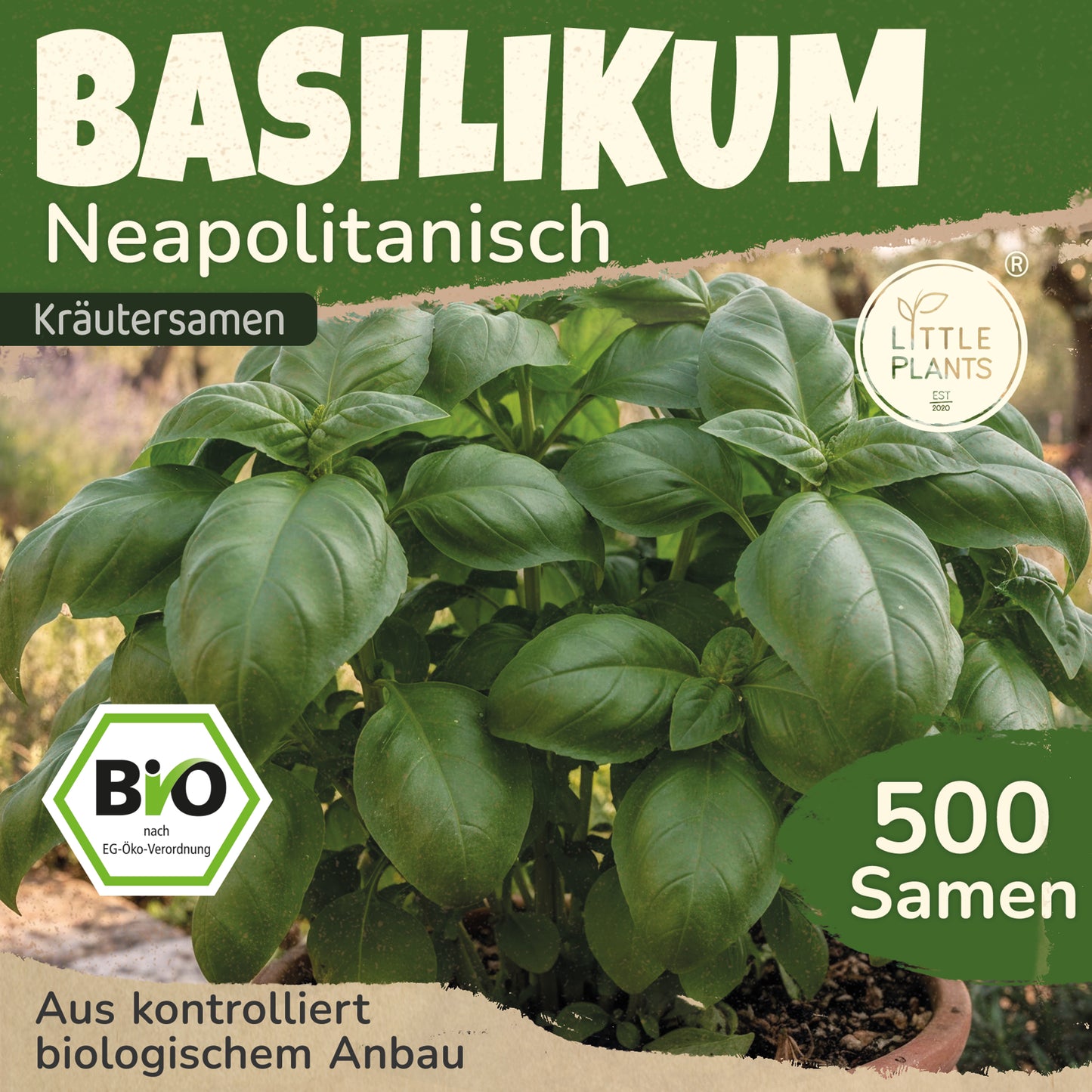 Bio-Basilikum (Neapoletanisch)