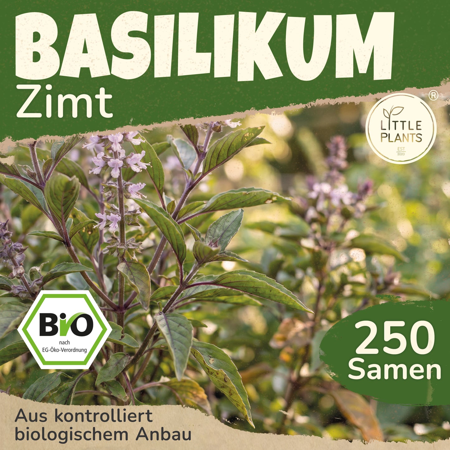Bio Basilikum (Zimt)