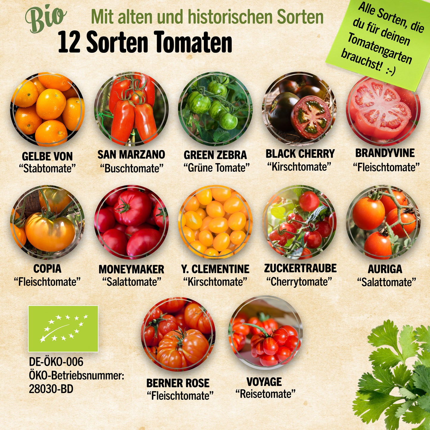 Bio-Tomatensamen Set mit 12 Sorten