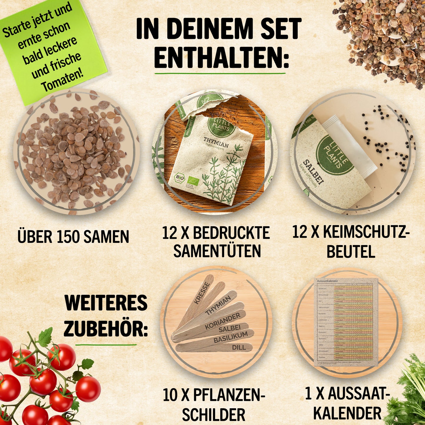 Bio-Tomatensamen Set mit 12 Sorten
