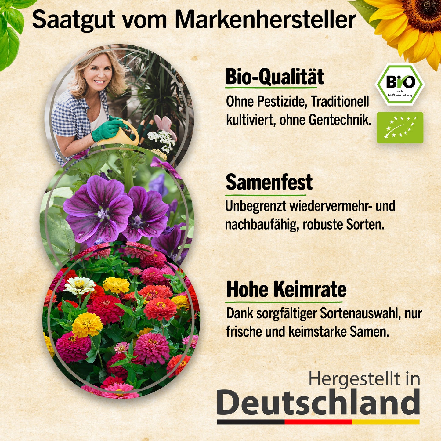 Bio-Blumensamen Set mit 12 Sorten