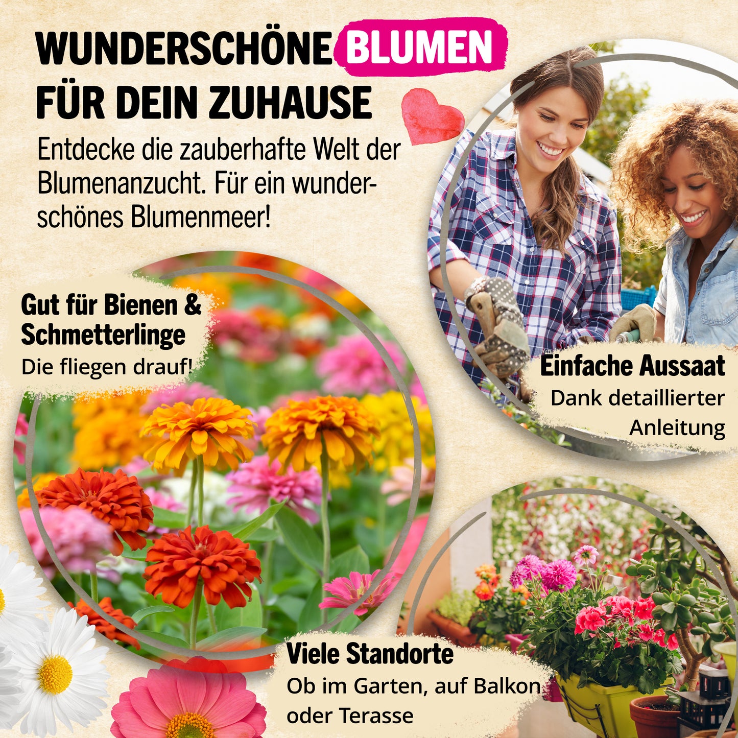 Bio-Blumensamen Set mit 12 Sorten