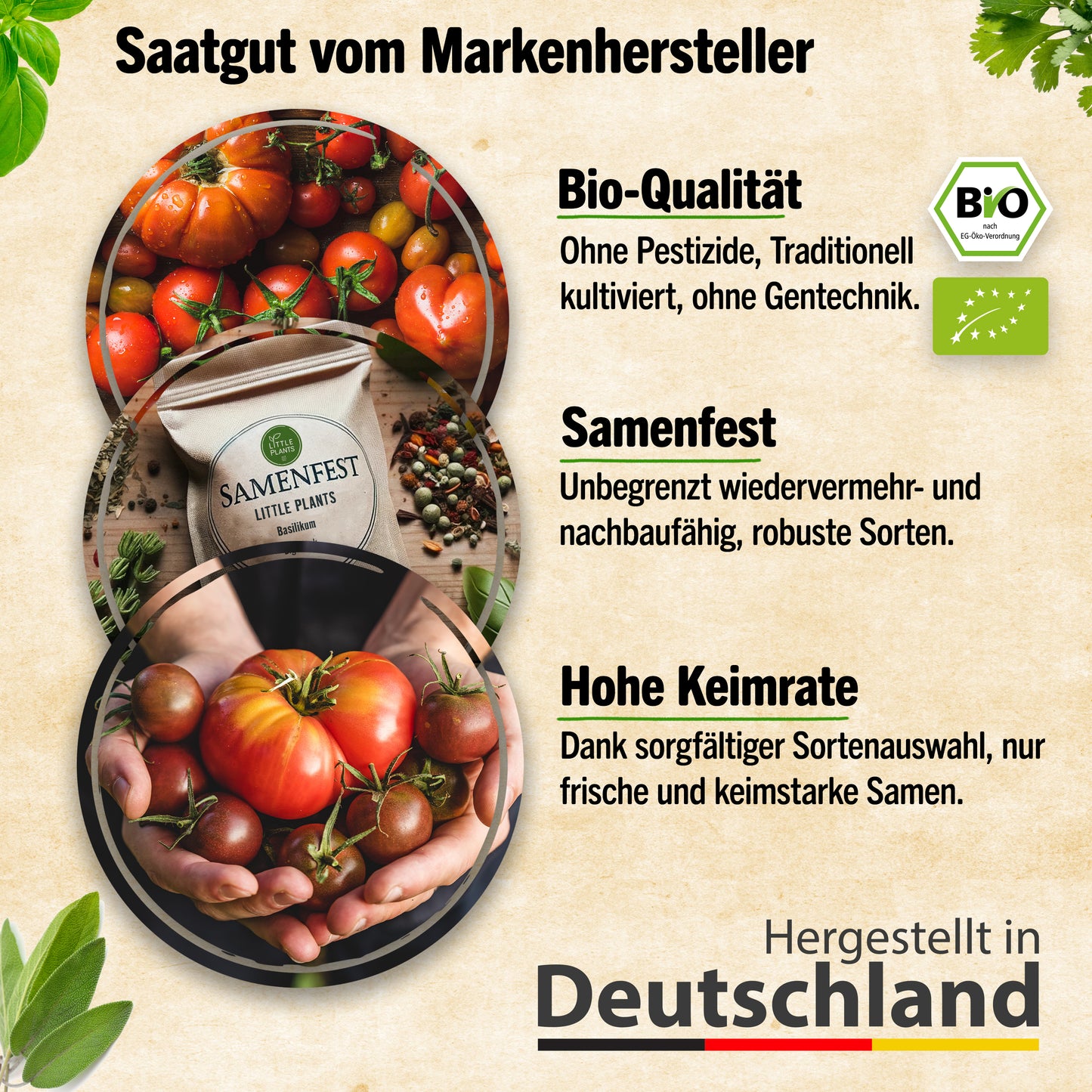Bio-Tomatensamen Set mit 12 Sorten