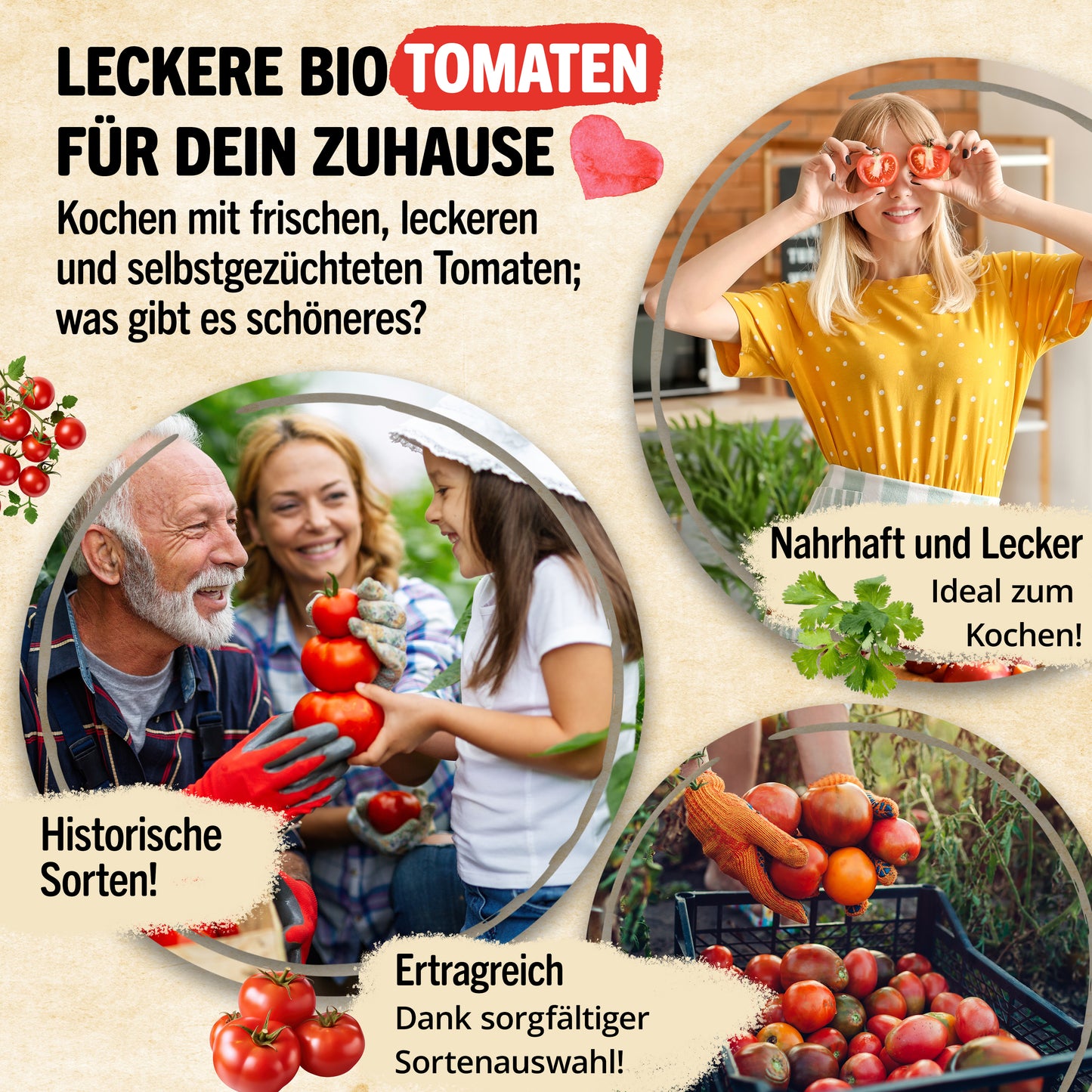 Bio-Tomatensamen Set mit 12 Sorten