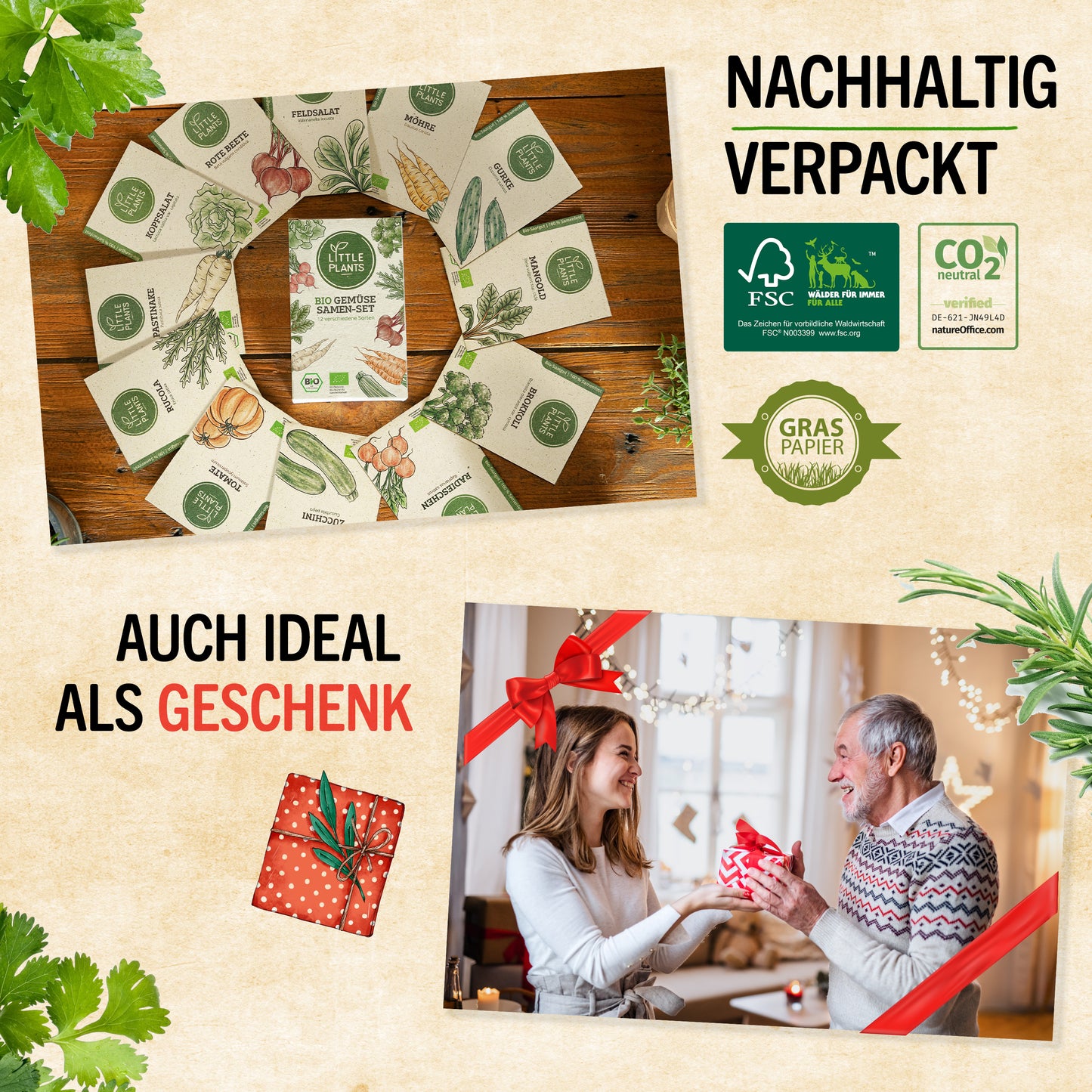 Bio-Tomatensamen Set mit 12 Sorten