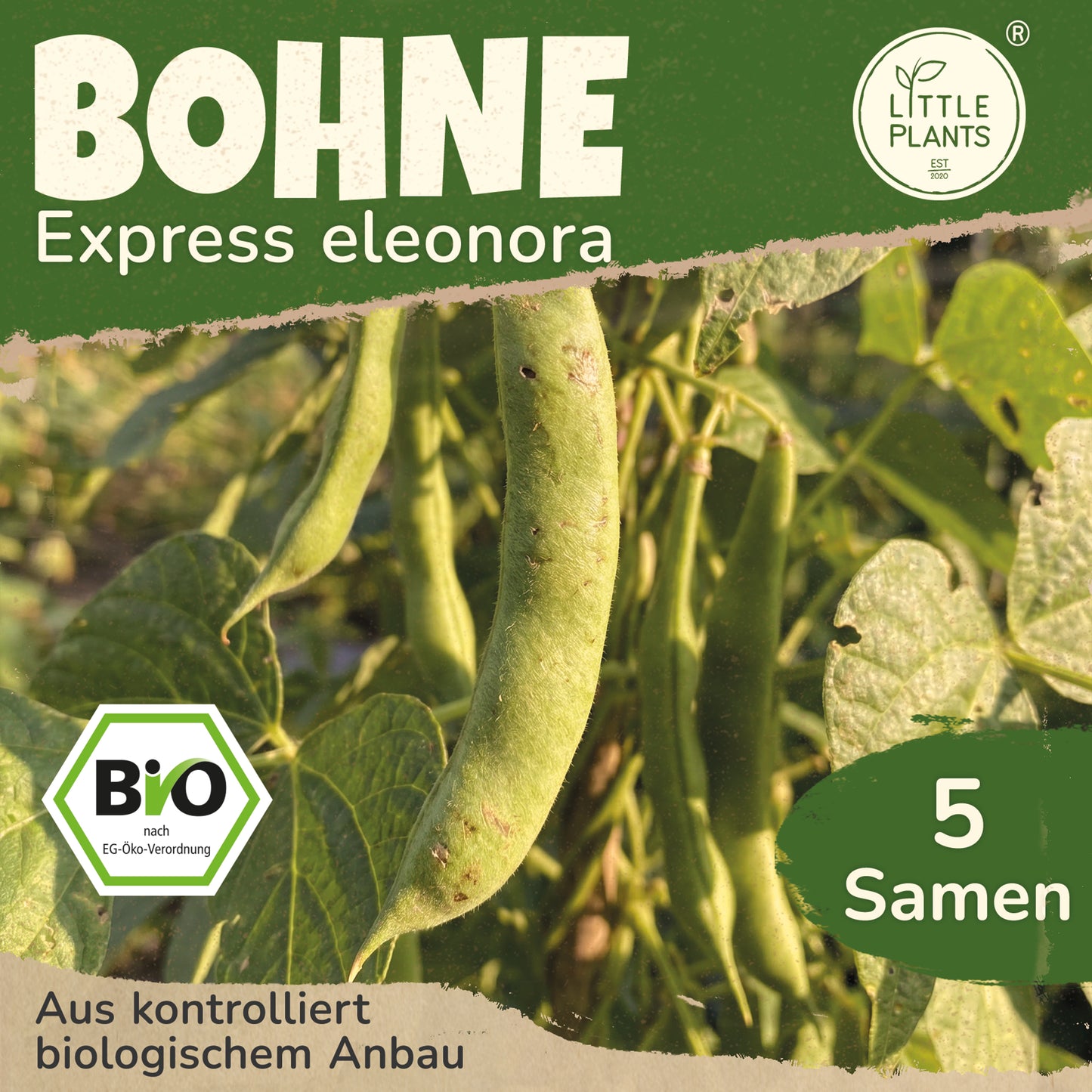 Bio-Bohne (Express Eleonora)