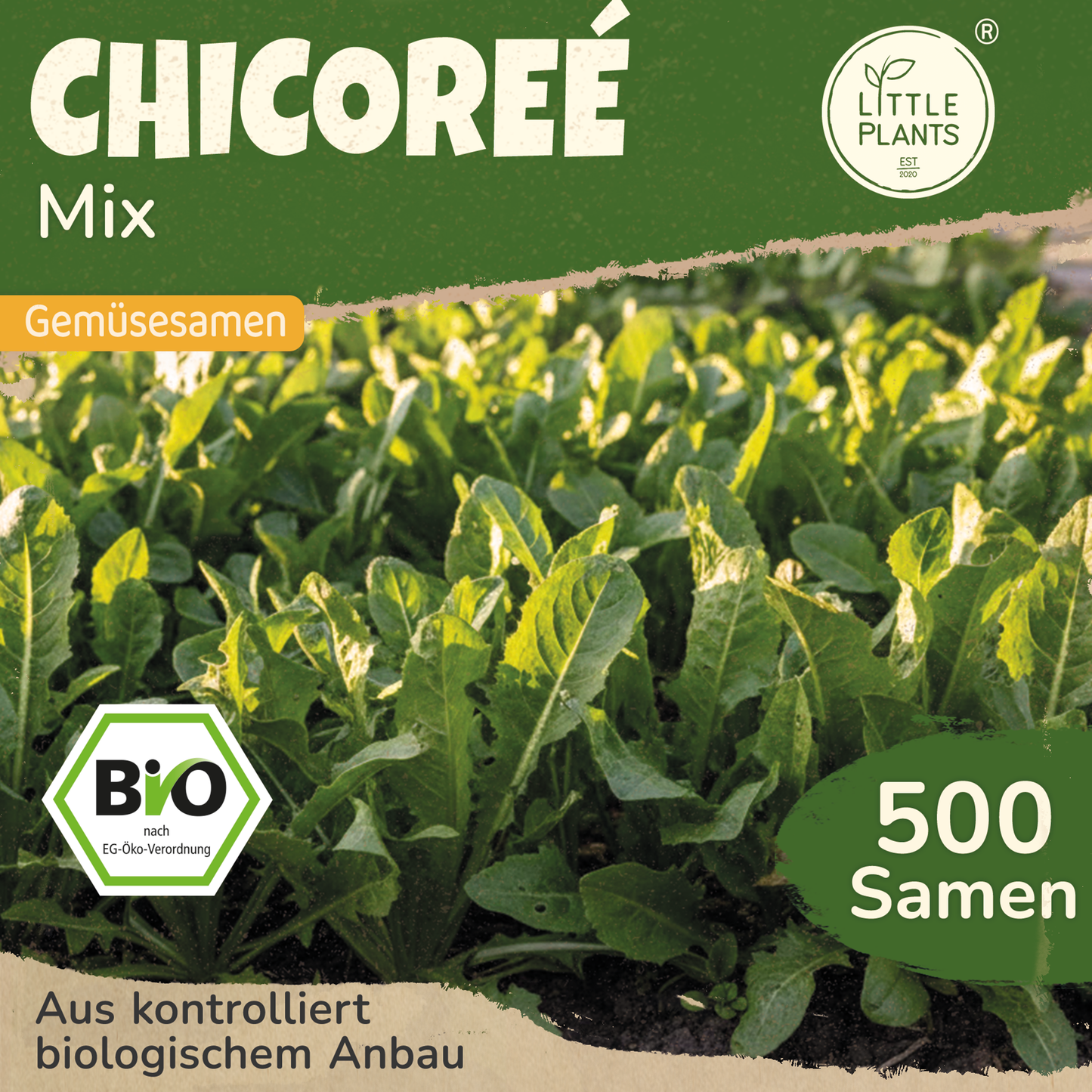 Bio-Chicorée (Mix)
