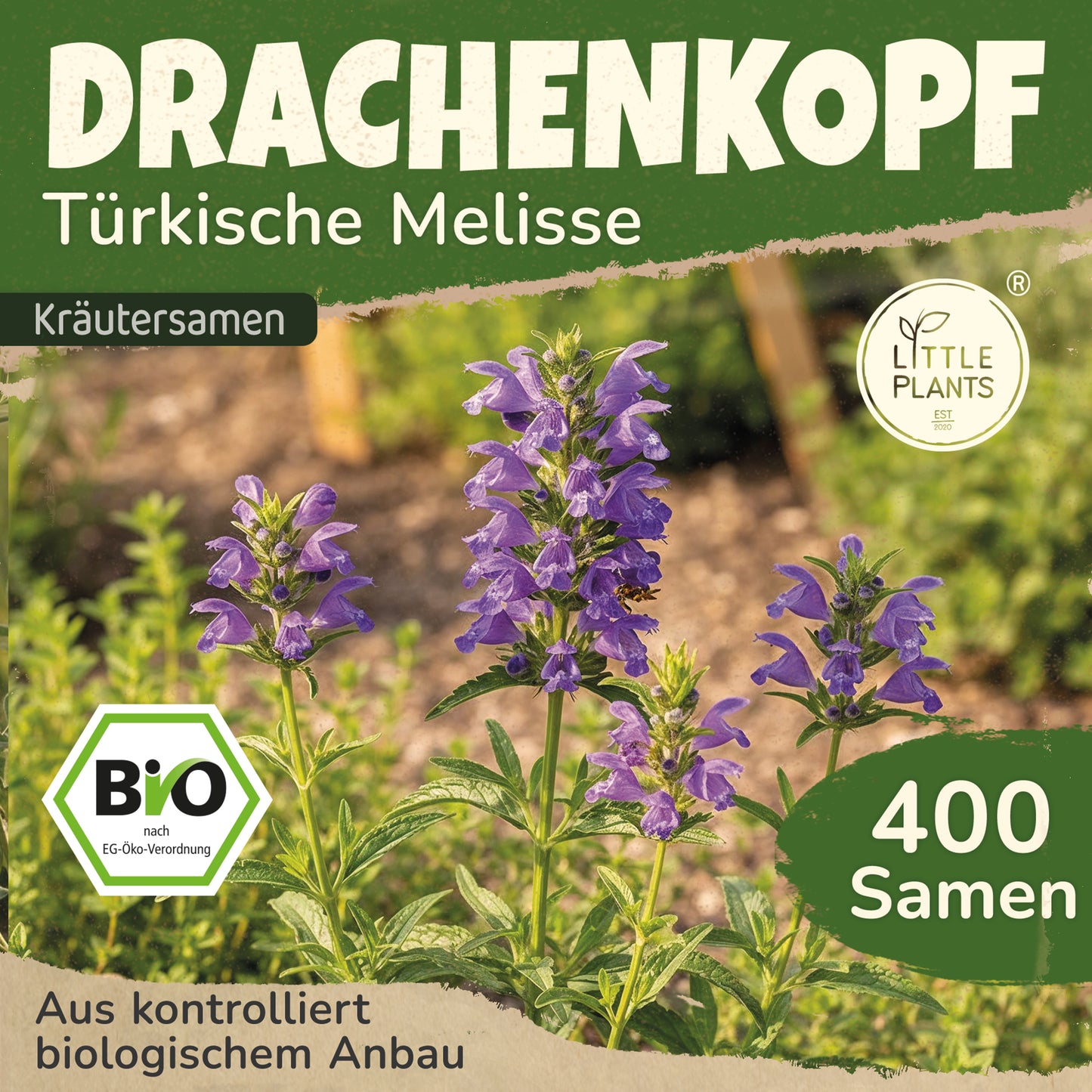 Bio-Drachenkopf (Türkische Melisse)