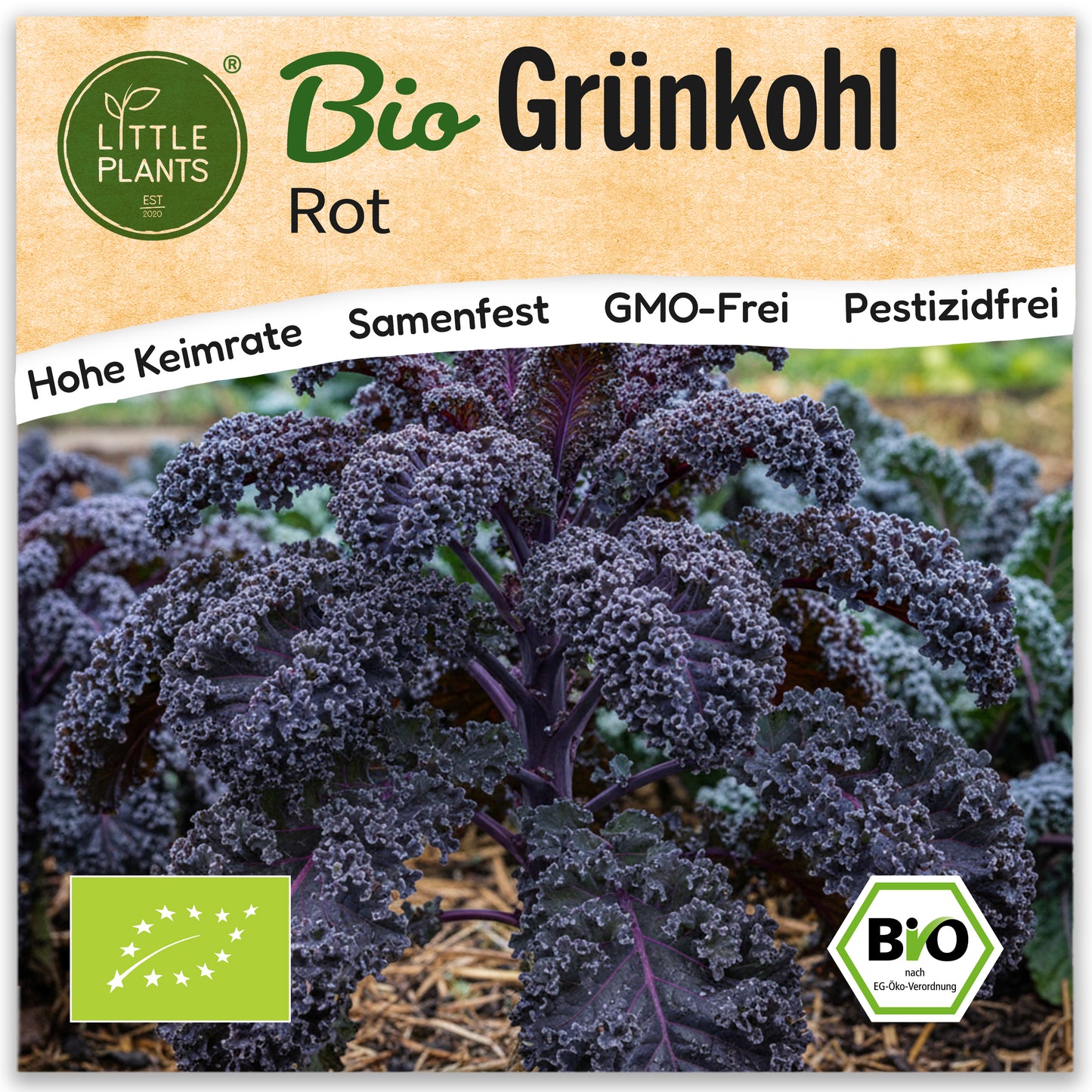Bio-Grünkohl (Rot)