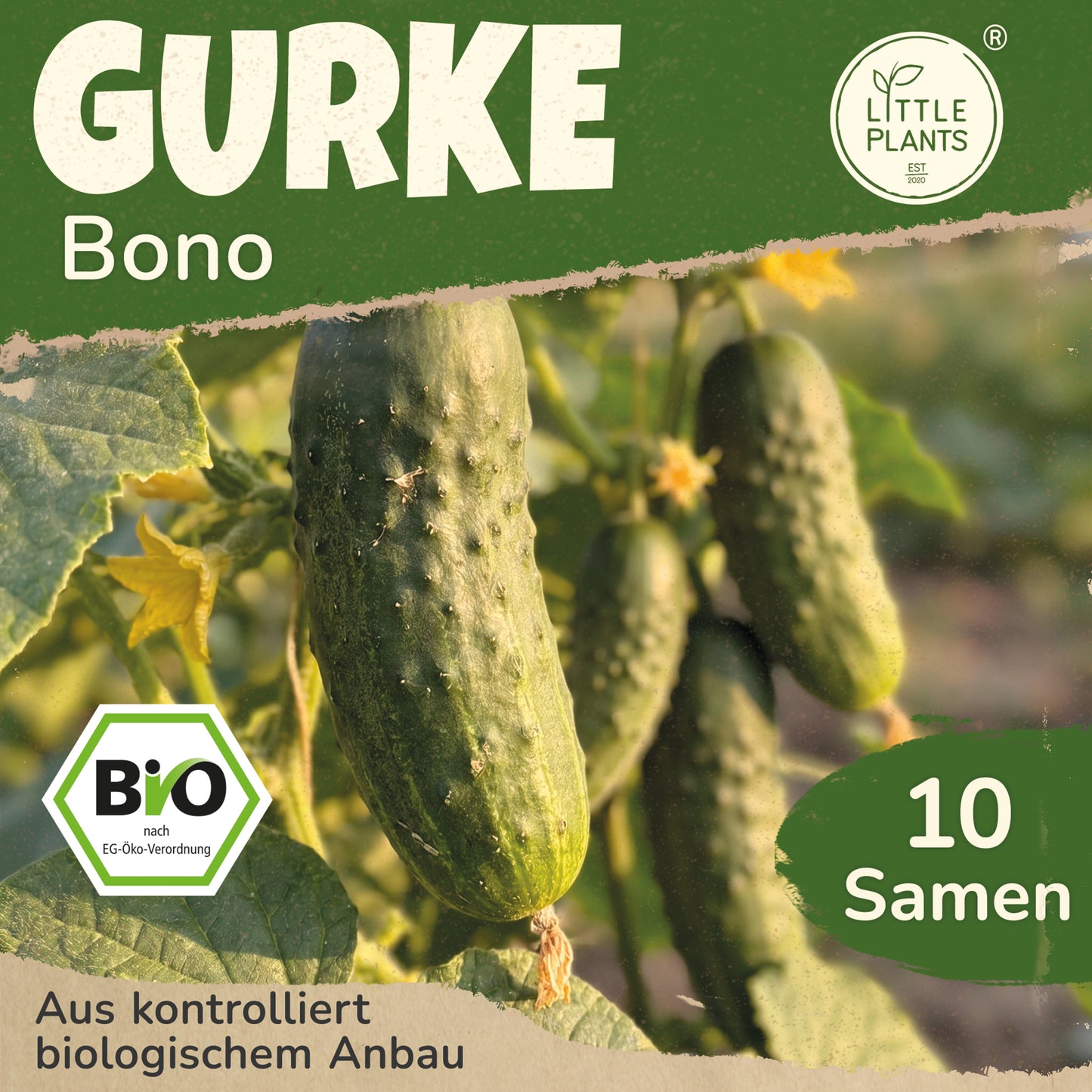 Bio-Gurke (Bono)