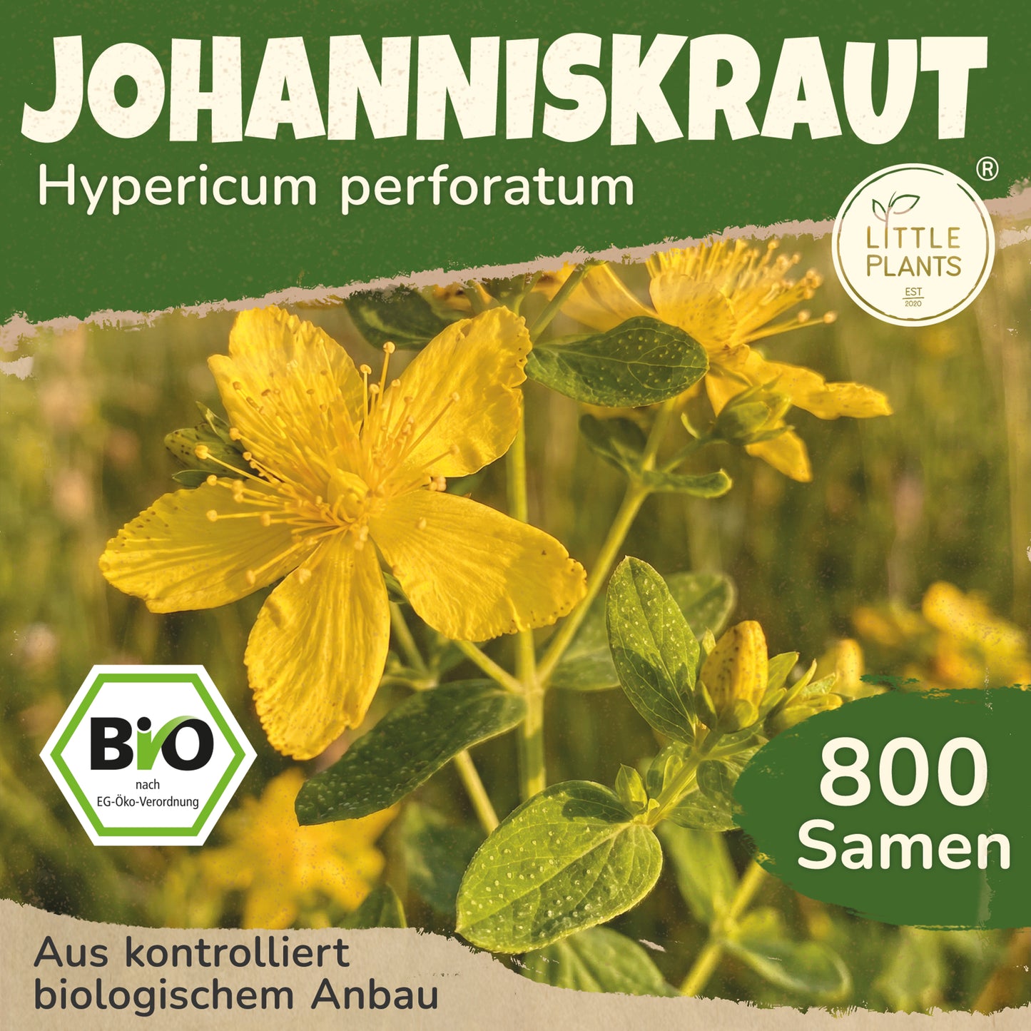 Bio-Johanniskraut