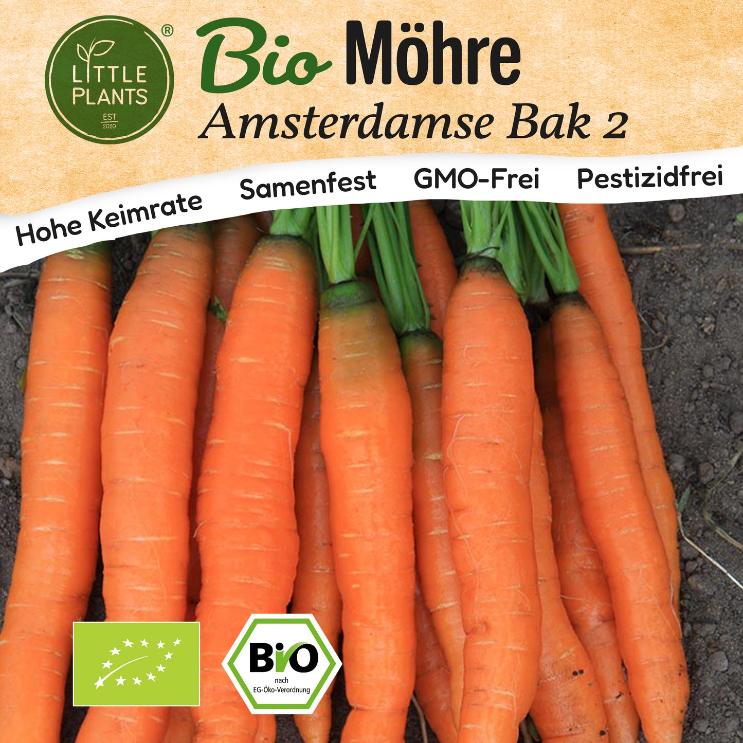 Bio-Möhre (Amsterdamse Bak 2)