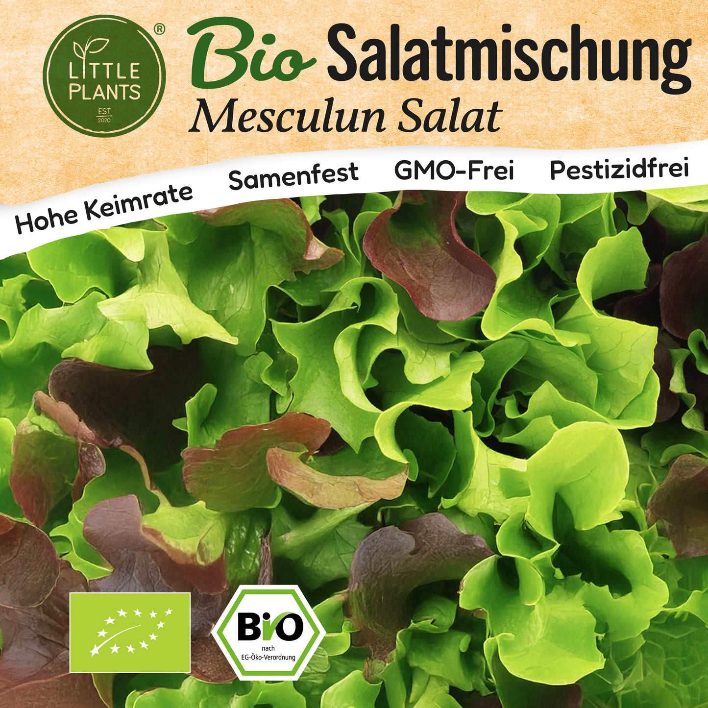 Bio-Salatmischung (Mesclun)