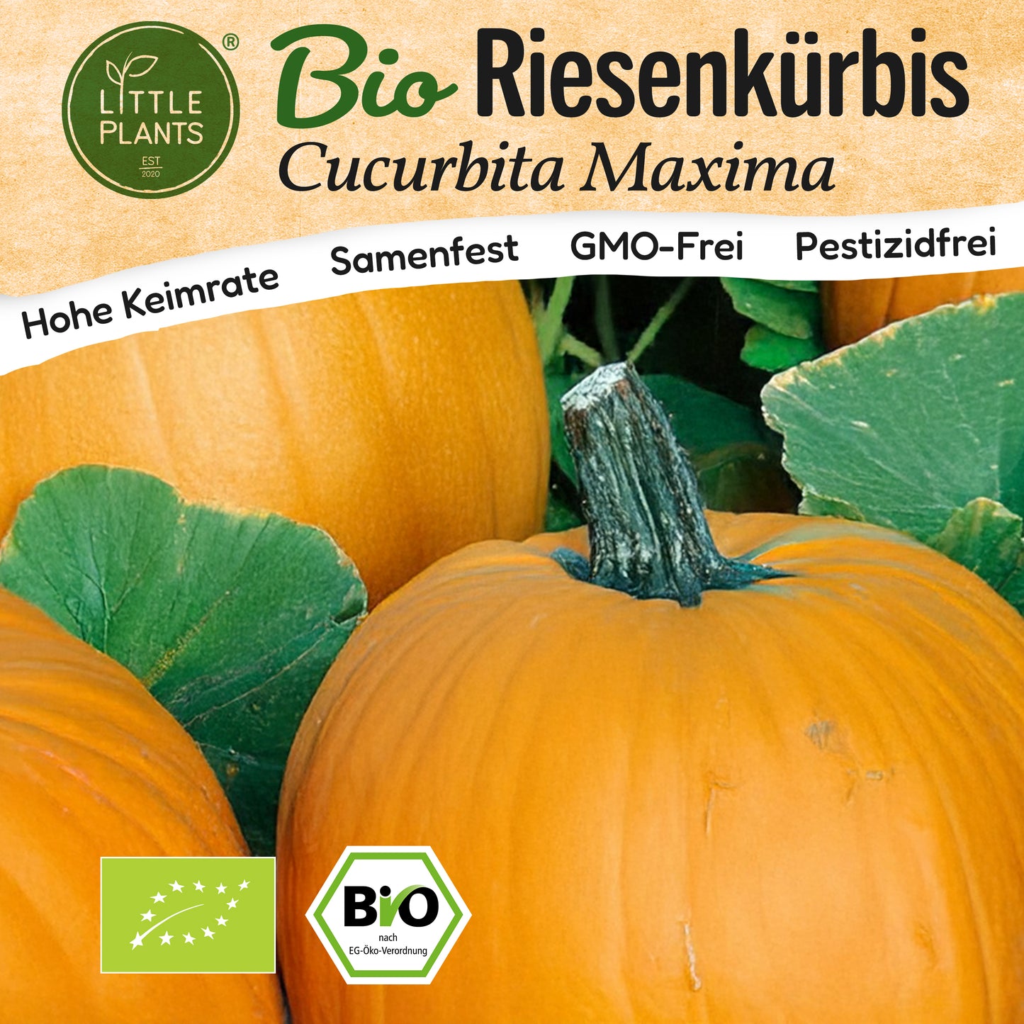 Bio-Kürbis (Gelber Riesenkürbis)