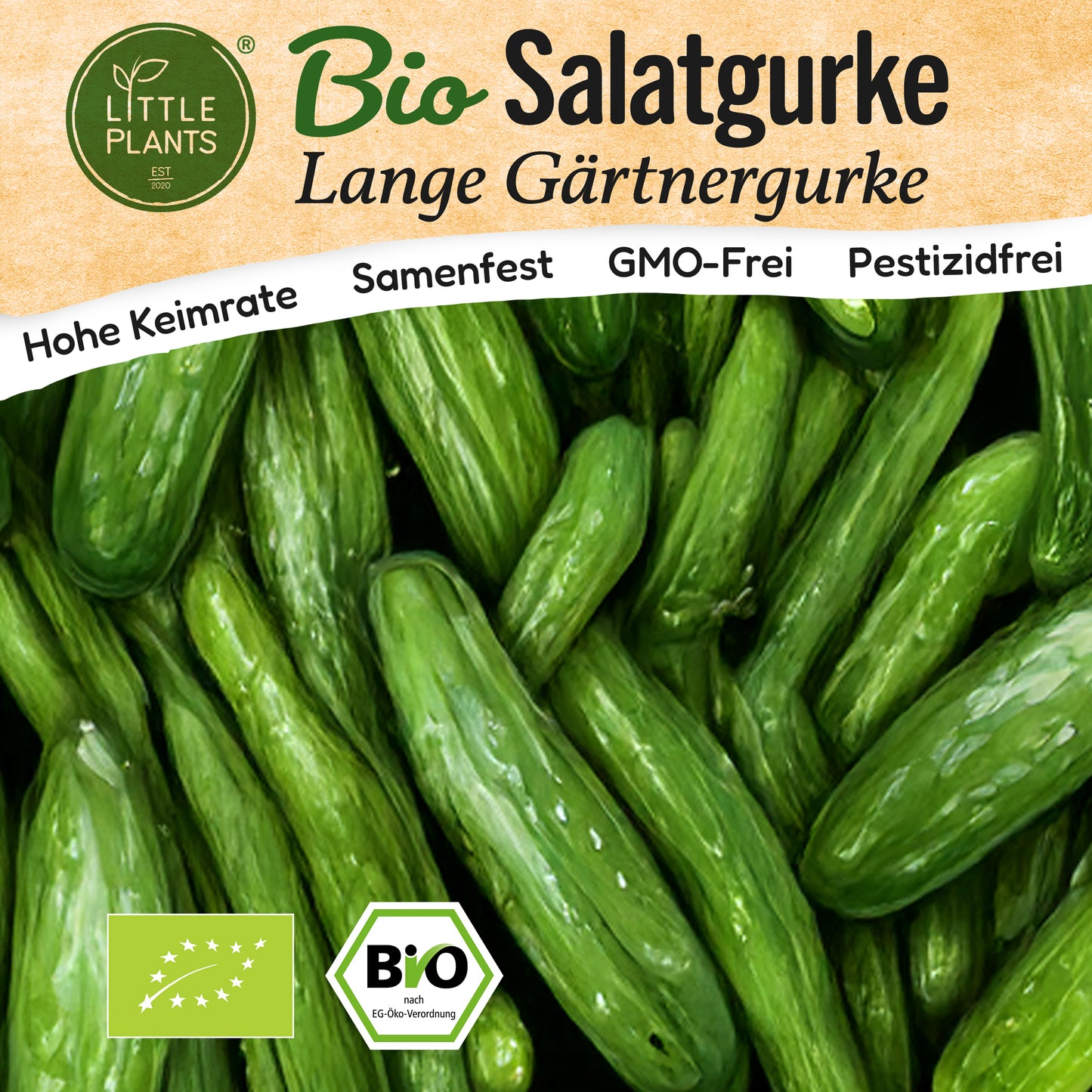 Bio-Gurke (Lange Gärtnergurke)