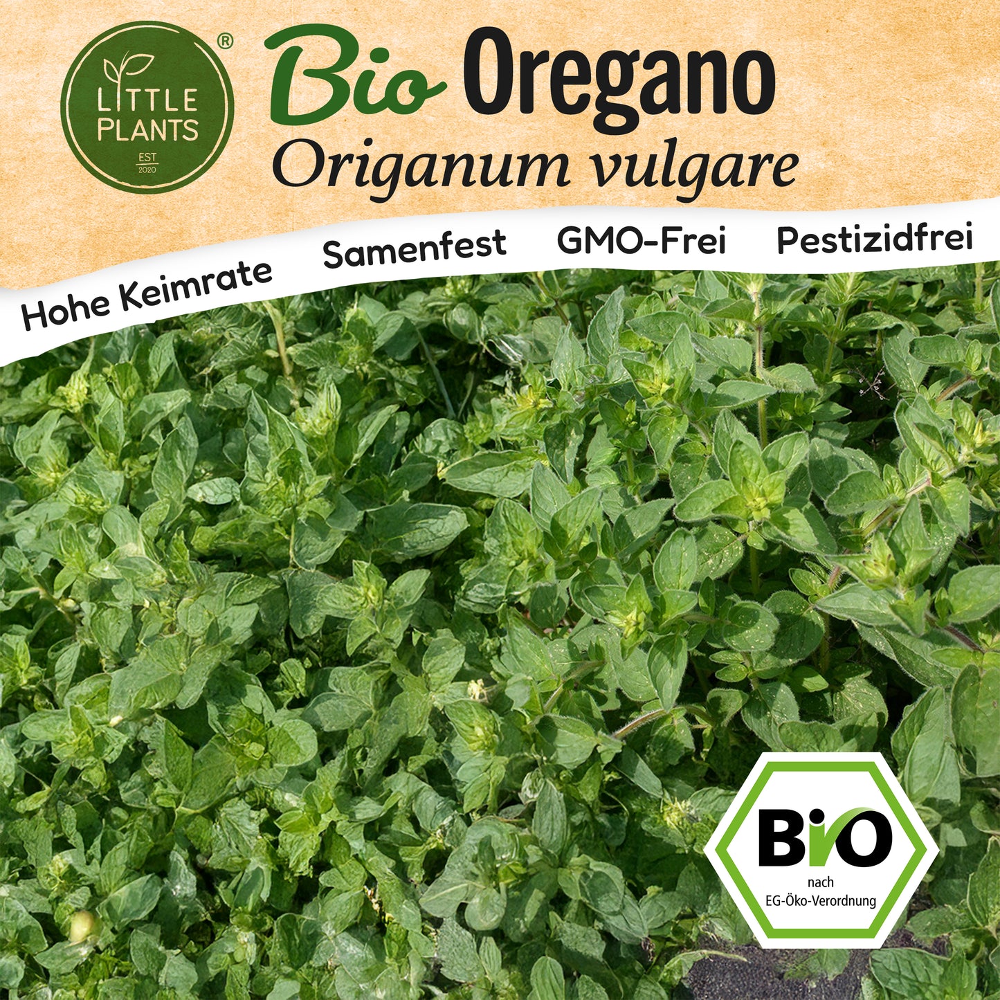 Bio-Oregano