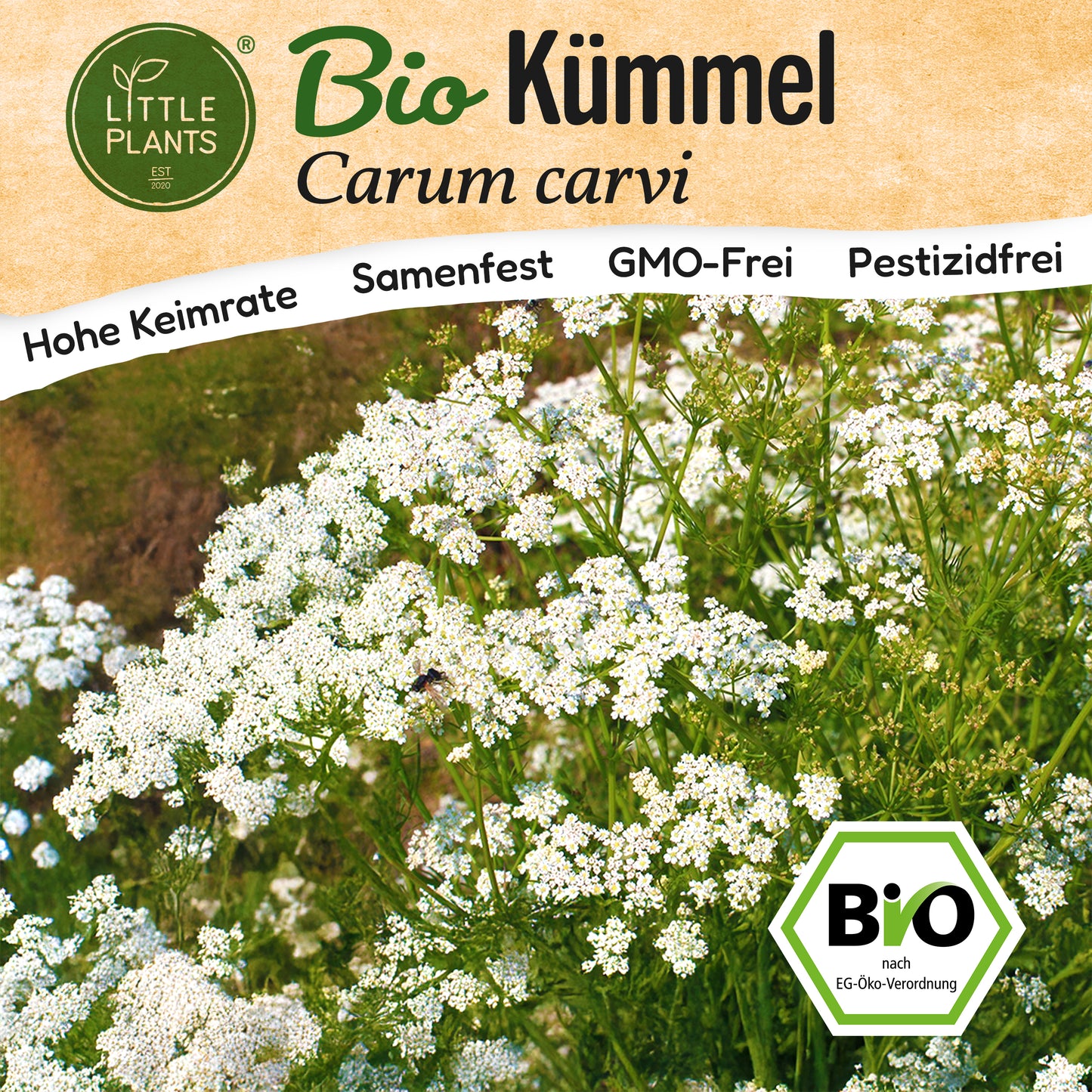 Bio-Kümmel