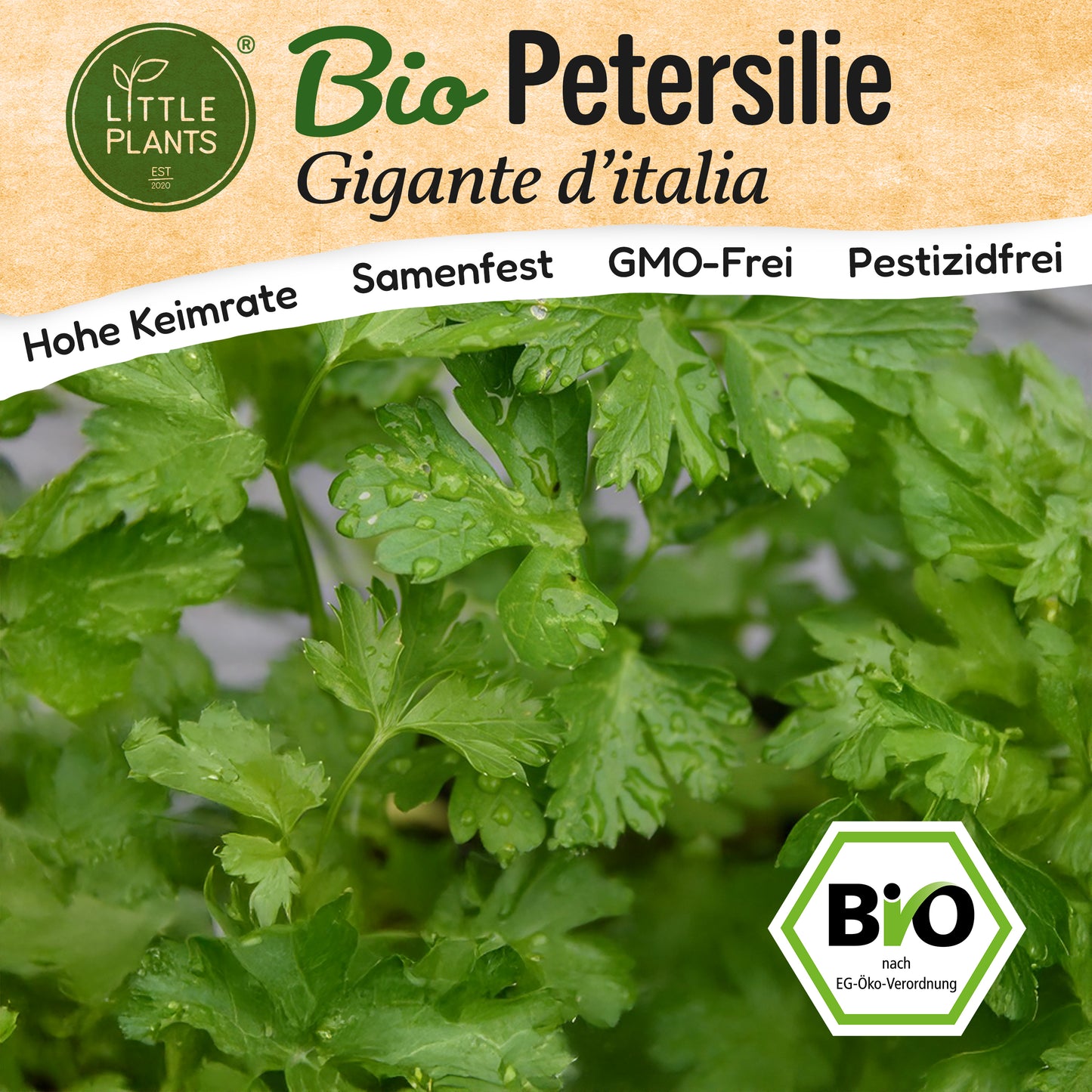 Bio-Petersilie (Gigante d'Italia)