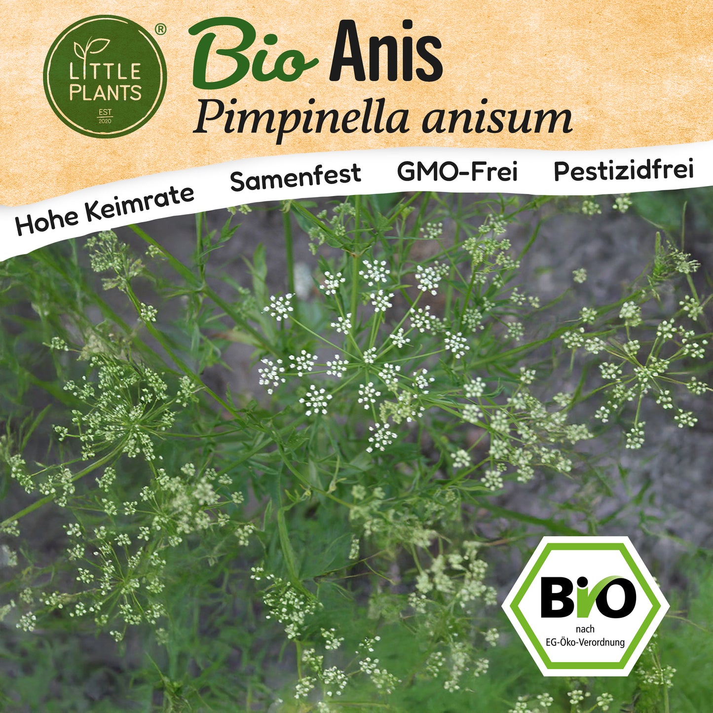 Bio-Anis