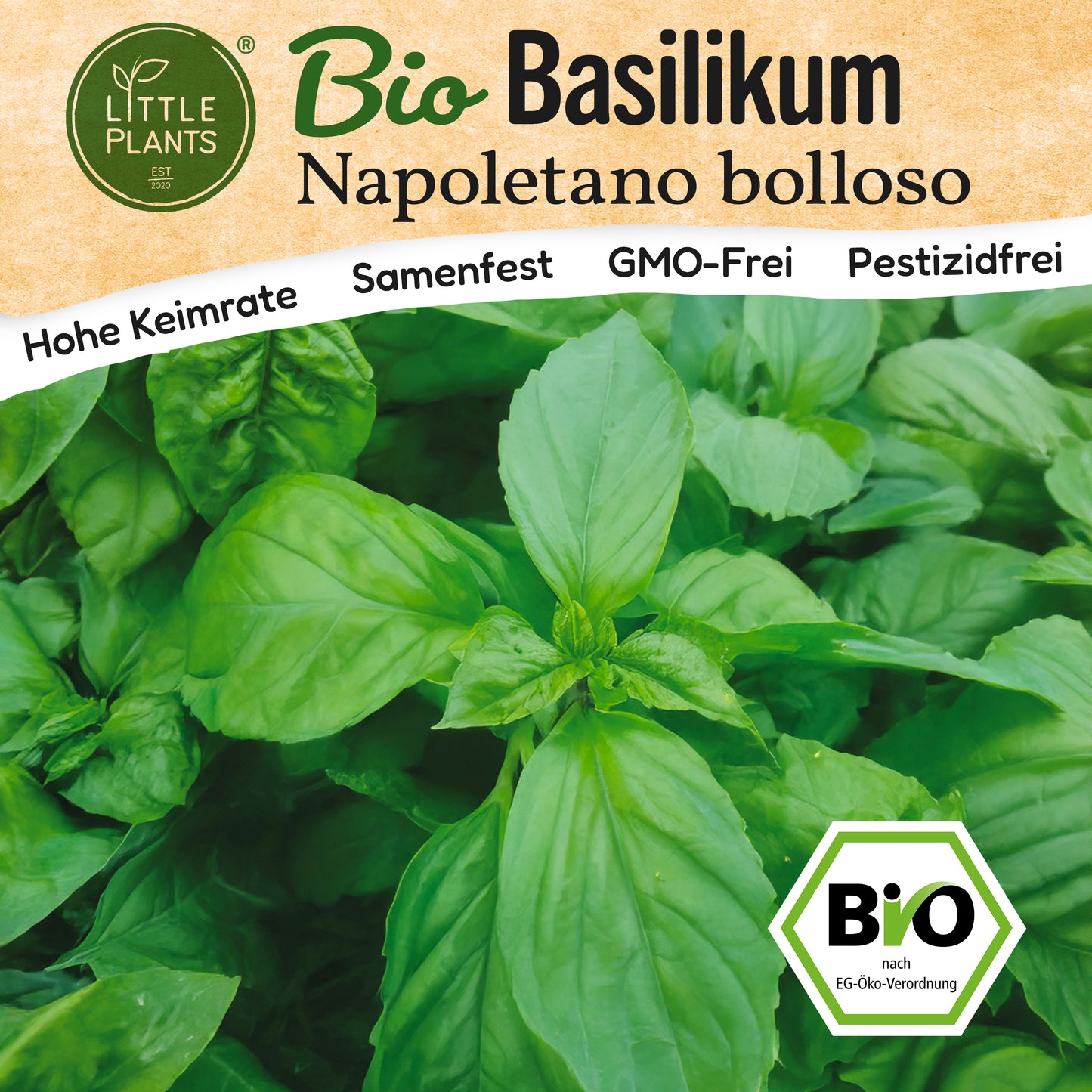Bio-Basilikum (Neapoletanisch)