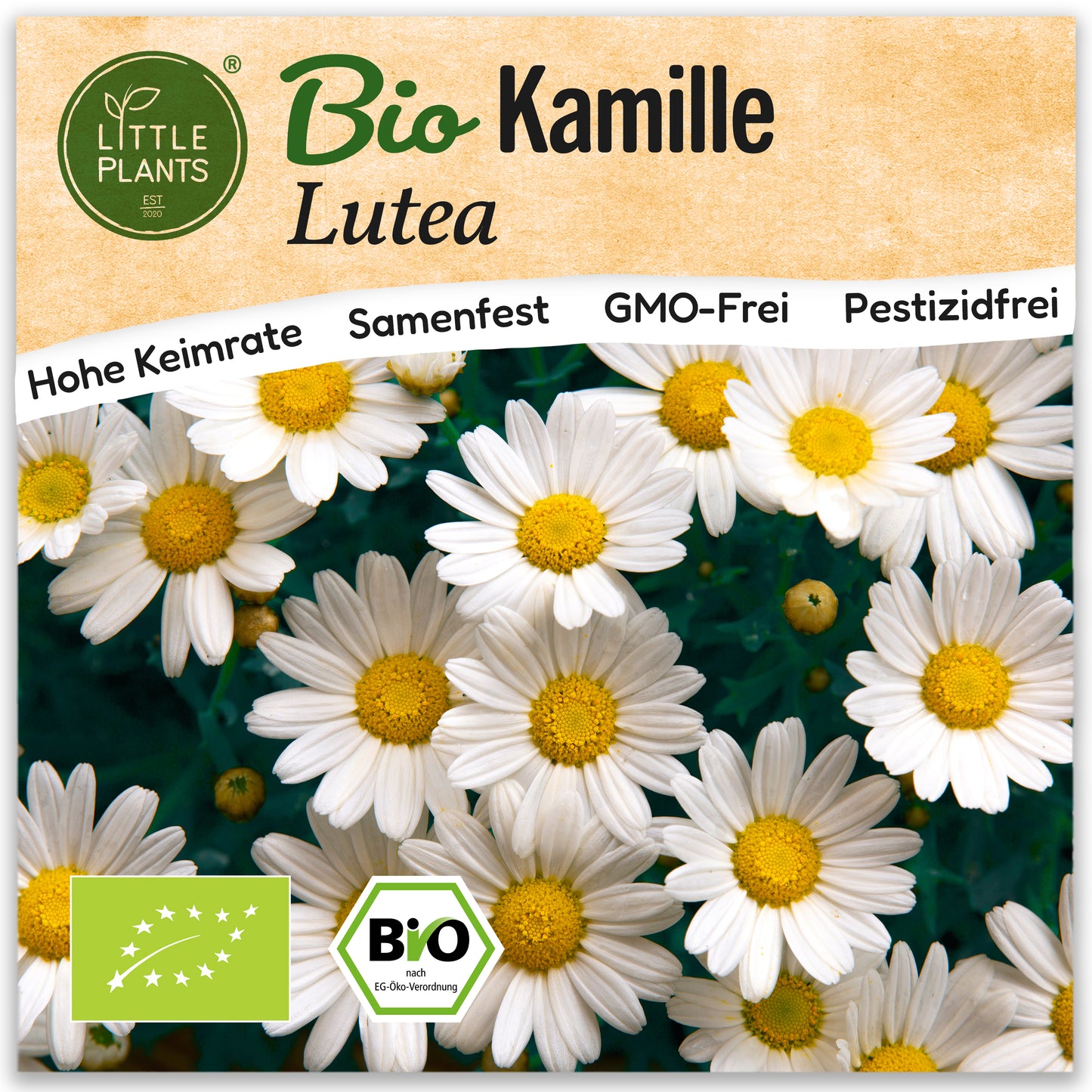 Bio-Kamille (Lutea)