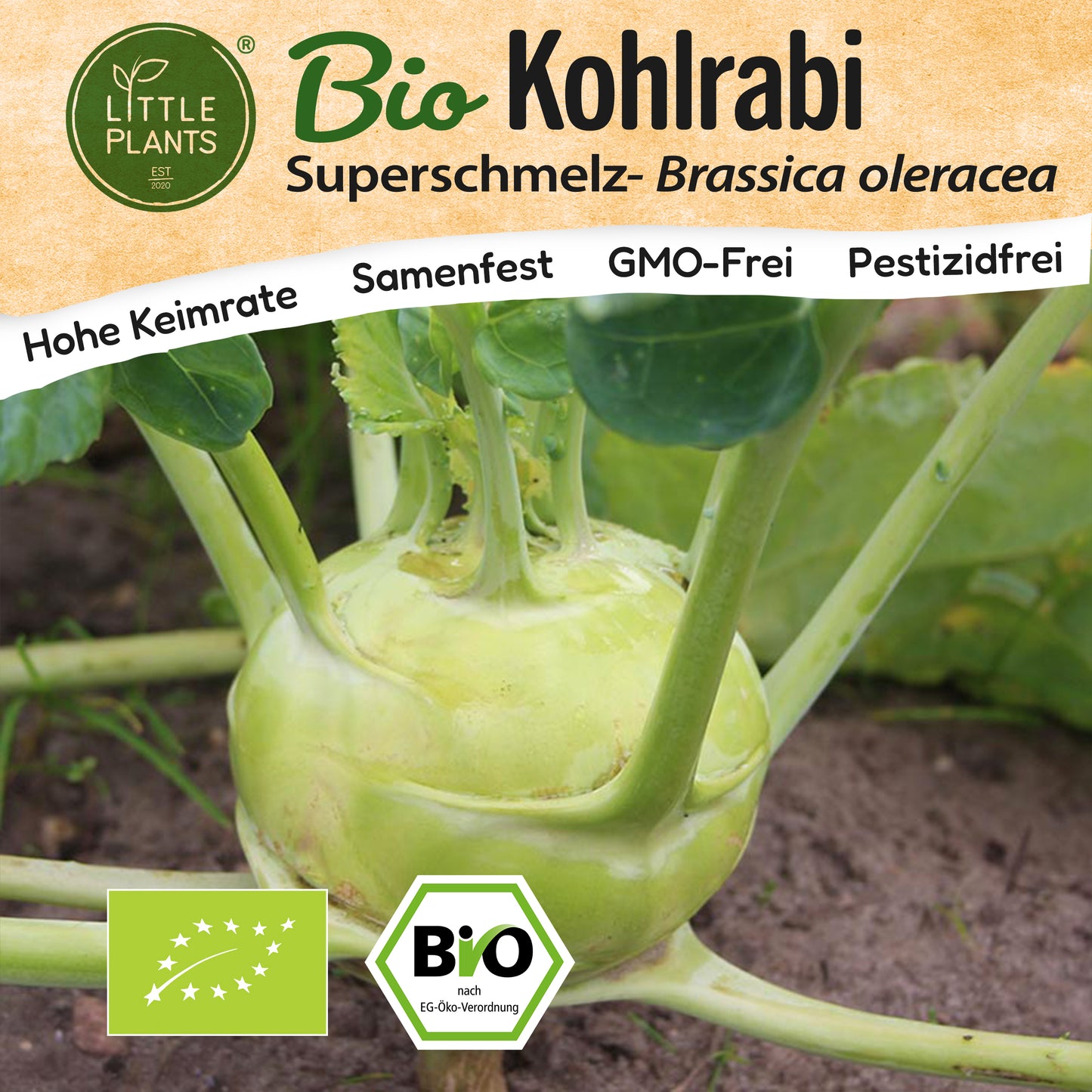 Bio-Kohlrabi (Superschmelz)