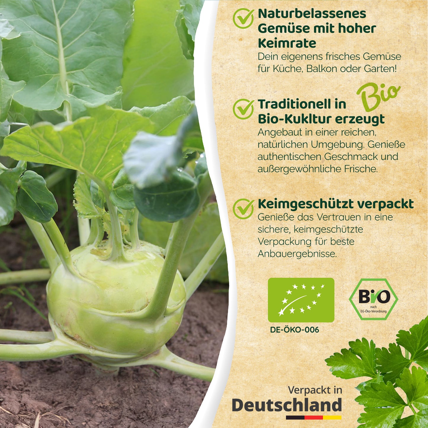 Bio-Kohlrabi (Superschmelz)