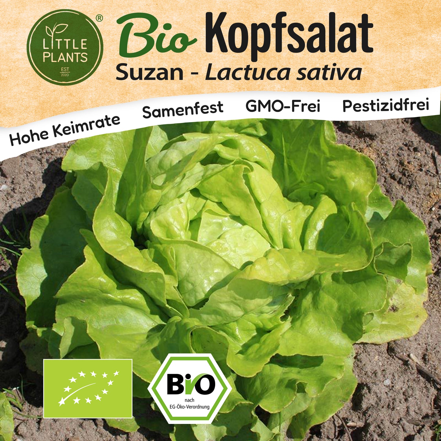 Bio-Salat (Suzan)