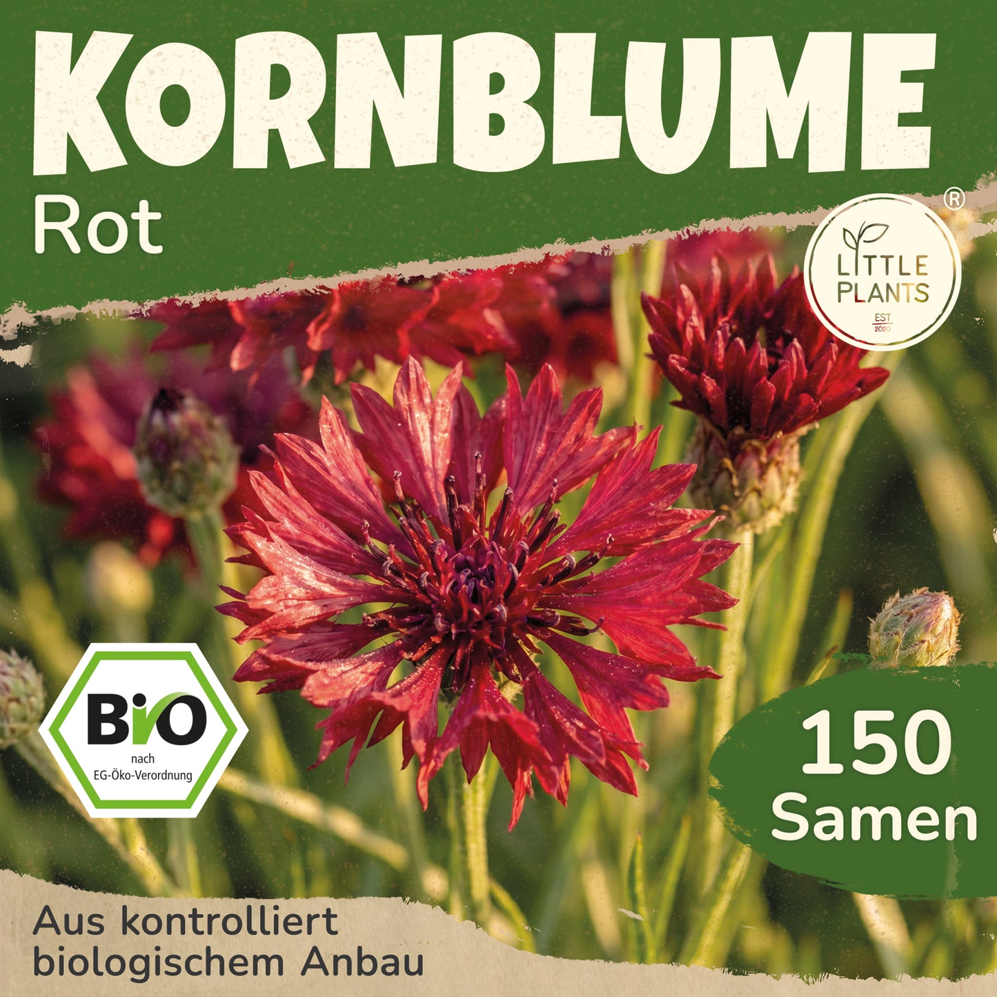 Bio-Kornblume (Rot)