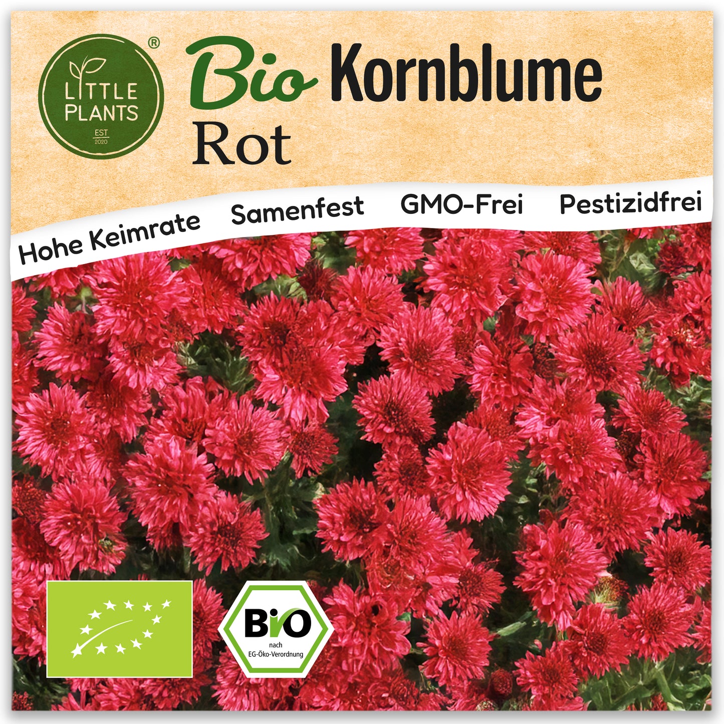 Bio-Kornblume (Rot)