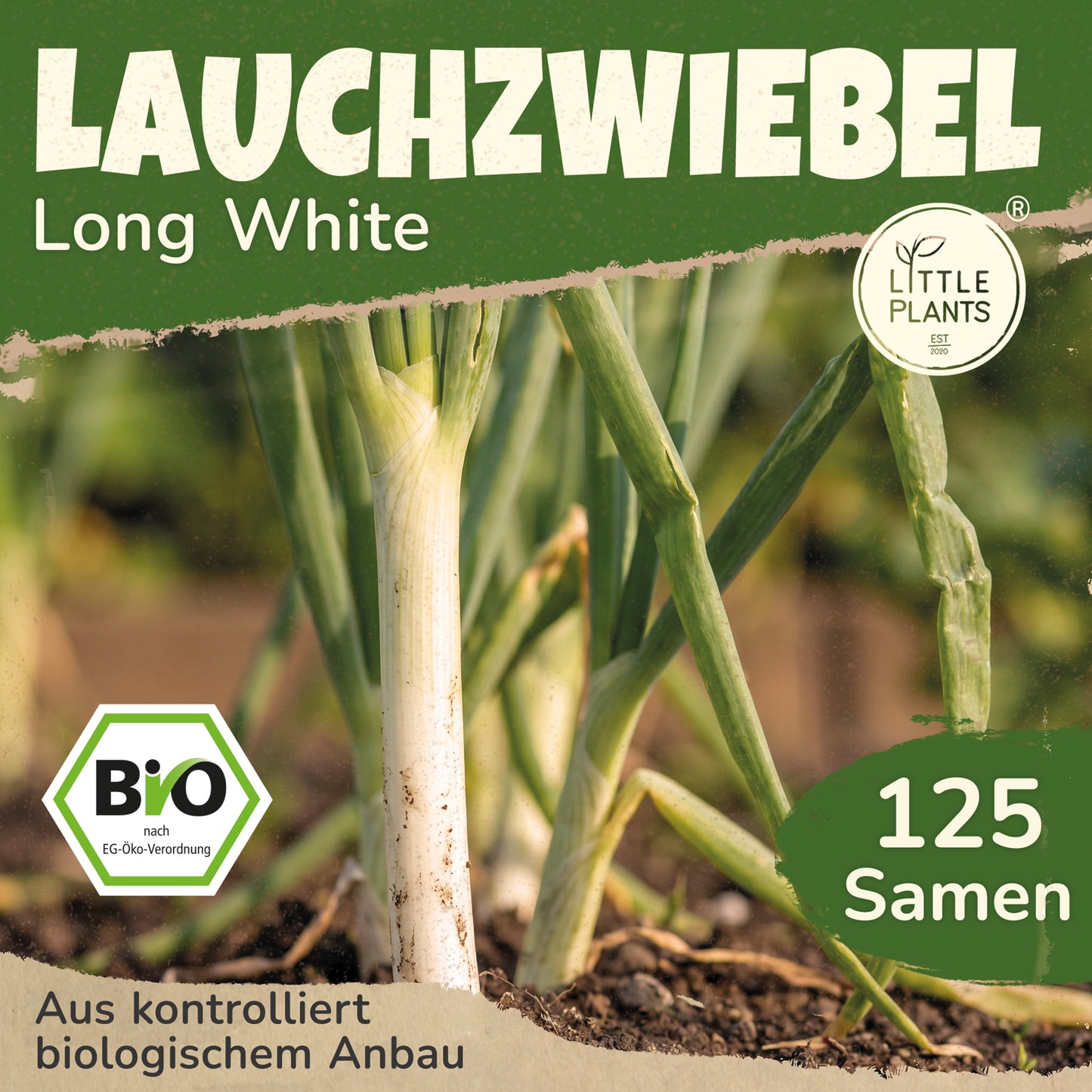 Bio-Lauchzwiebel (Long White Ishikura)