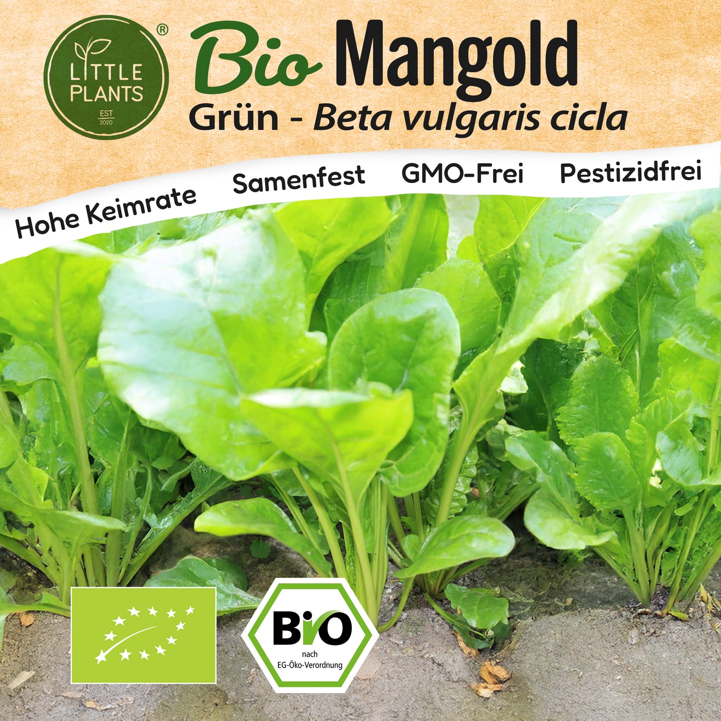 Bio-Mangold (Grün)