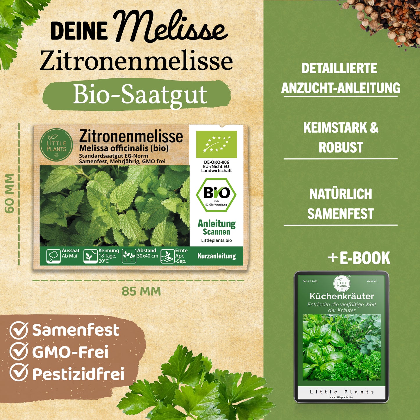 Bio-Melisse (Zitronenmelisse)