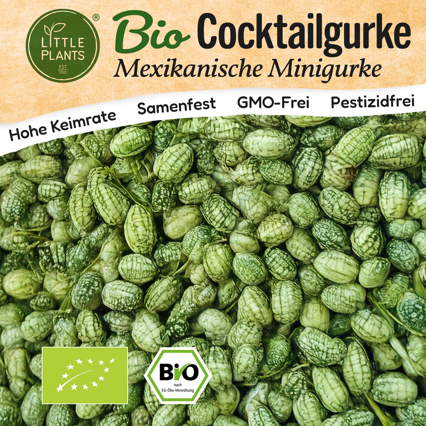 Bio-Gurke (Mexikanische Minigurke)