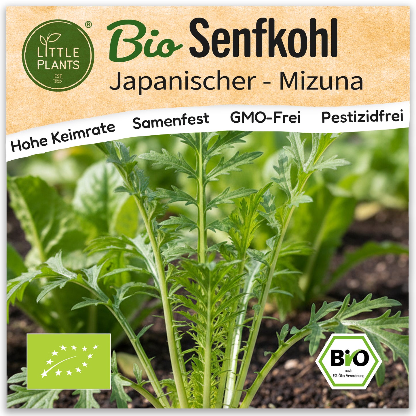 Bio-Senfkohl (Mizuna)