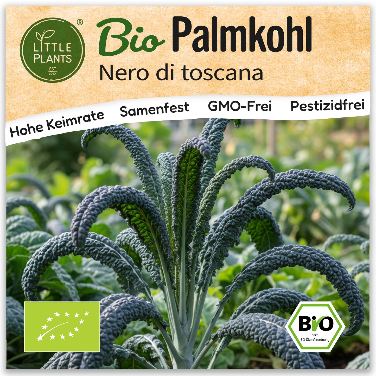 Bio-Palmkohl (Nero di toscana)