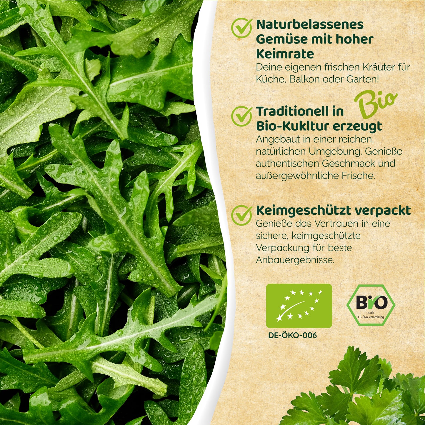 Bio-Rauke (Wilde Rauke)
