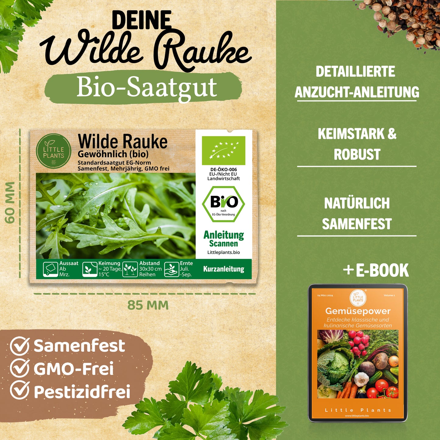 Bio-Rauke (Wilde Rauke)