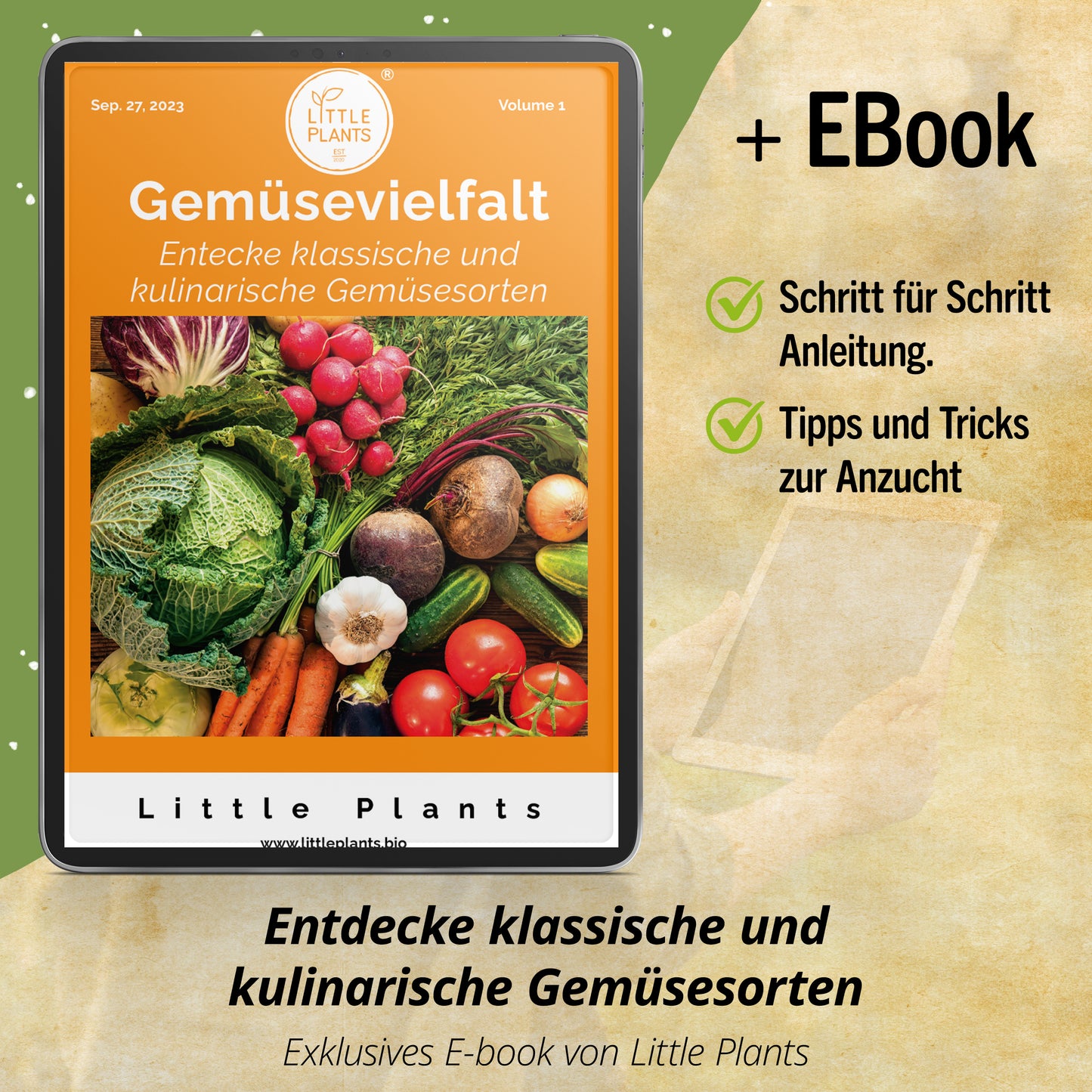 Bio-Rauke (Wilde Rauke)