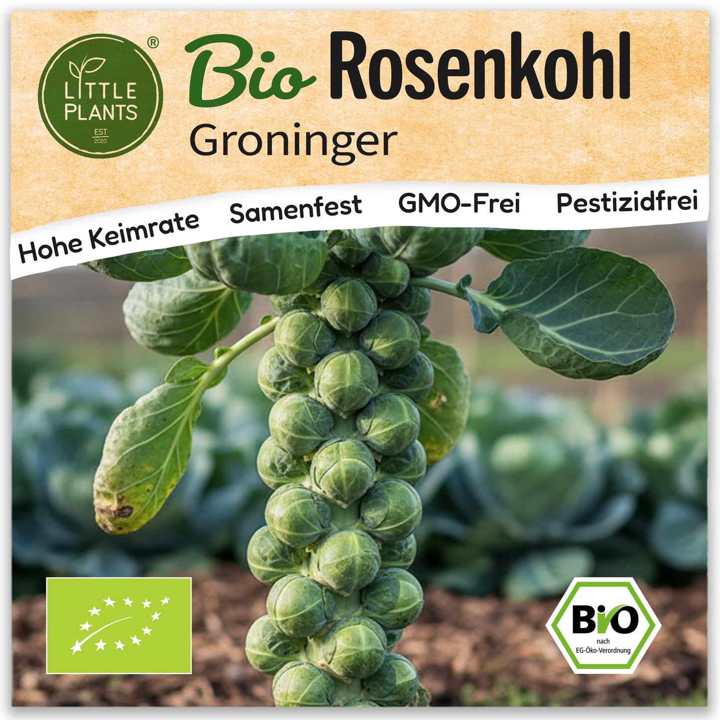 Bio-Rosenkohl (Groninger)