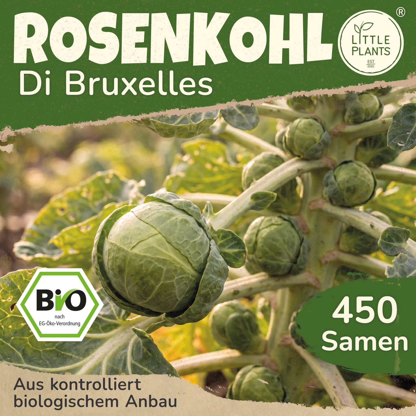 Bio-Rosenkohl (Di Bruxelles)
