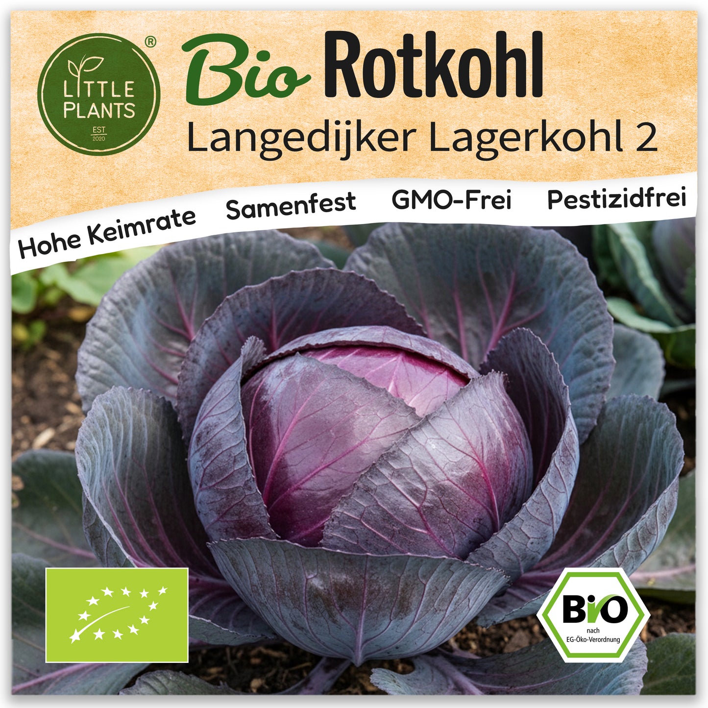 Bio-Rotkohl (Langedijker Bewaar 2)