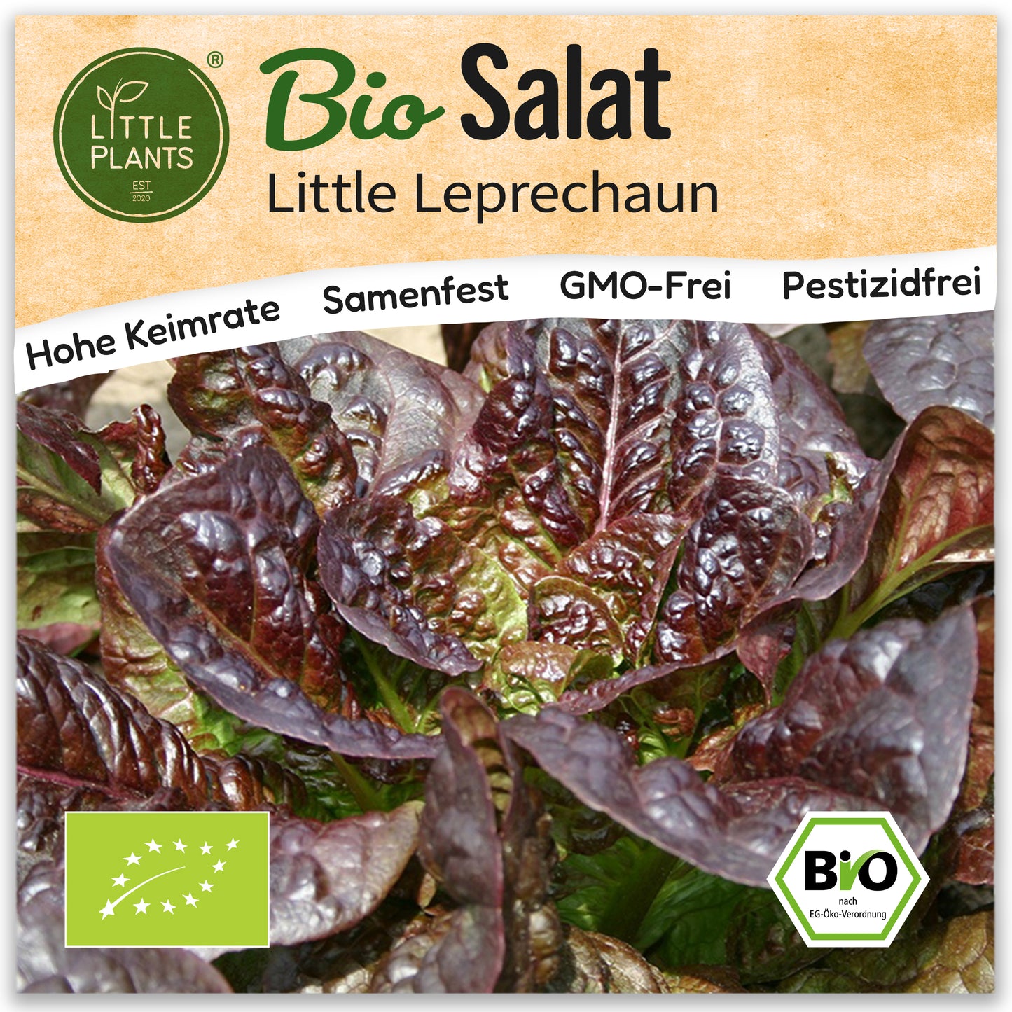 Bio-Salat (Little Leprechaun)