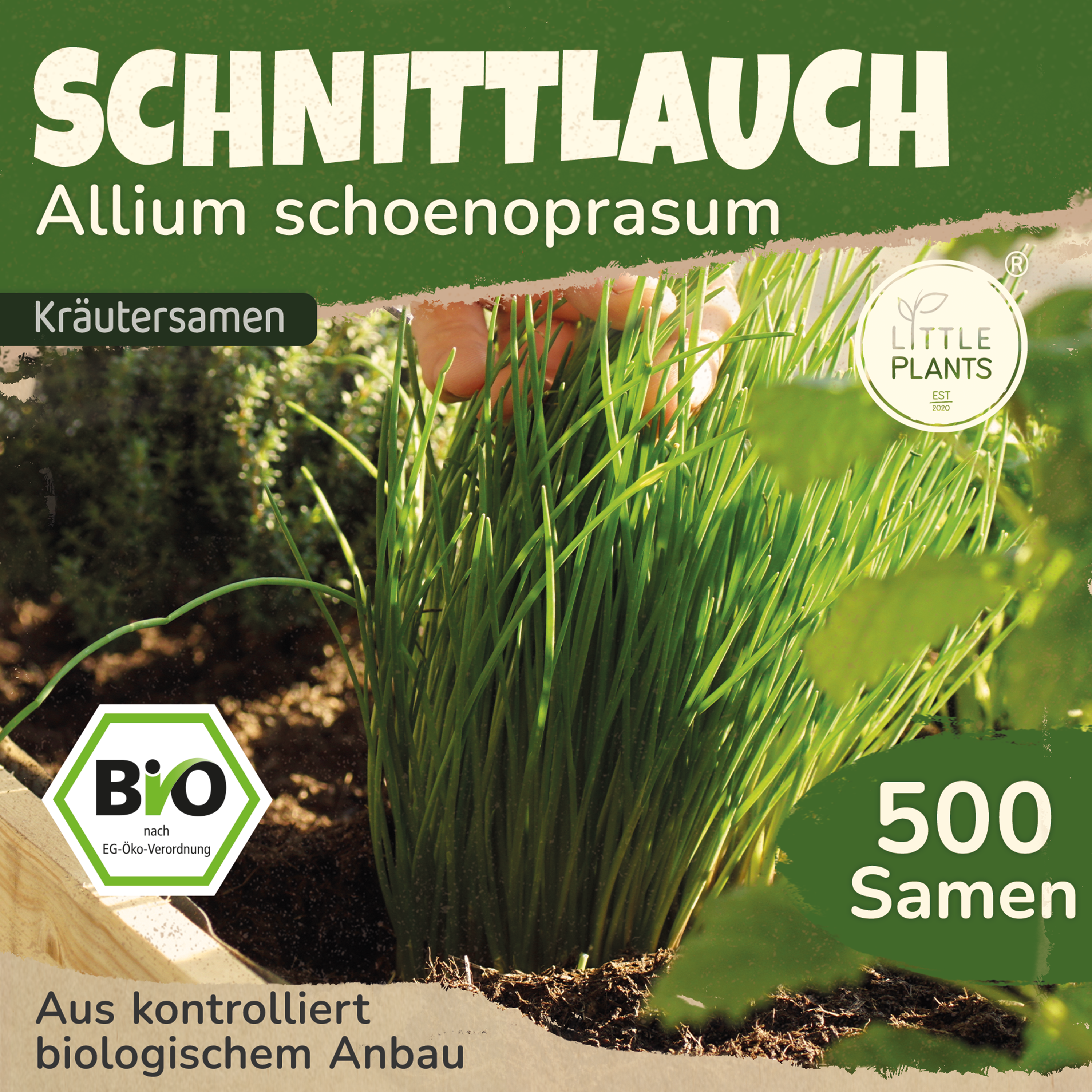 Bio-Schnittlauch – Little Plants