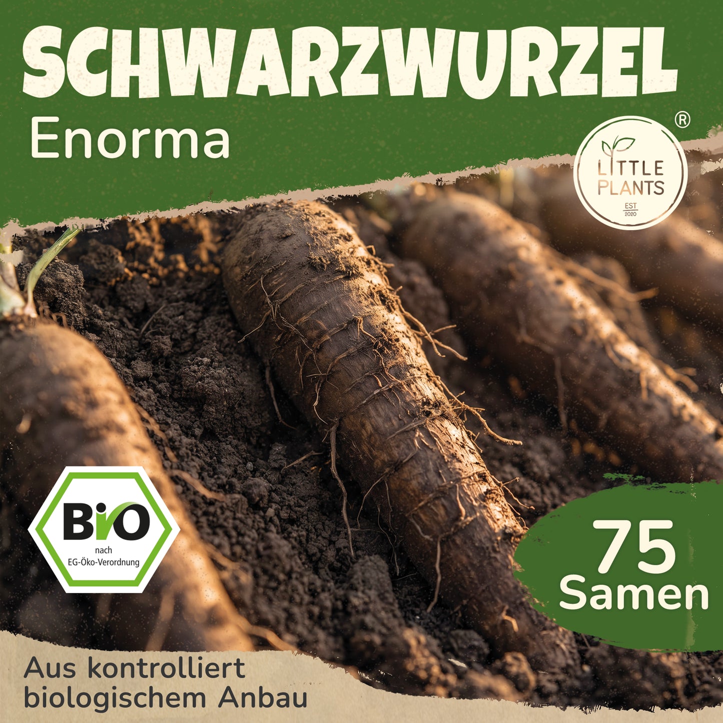 Bio-Schwarzwurzel (Enorma)