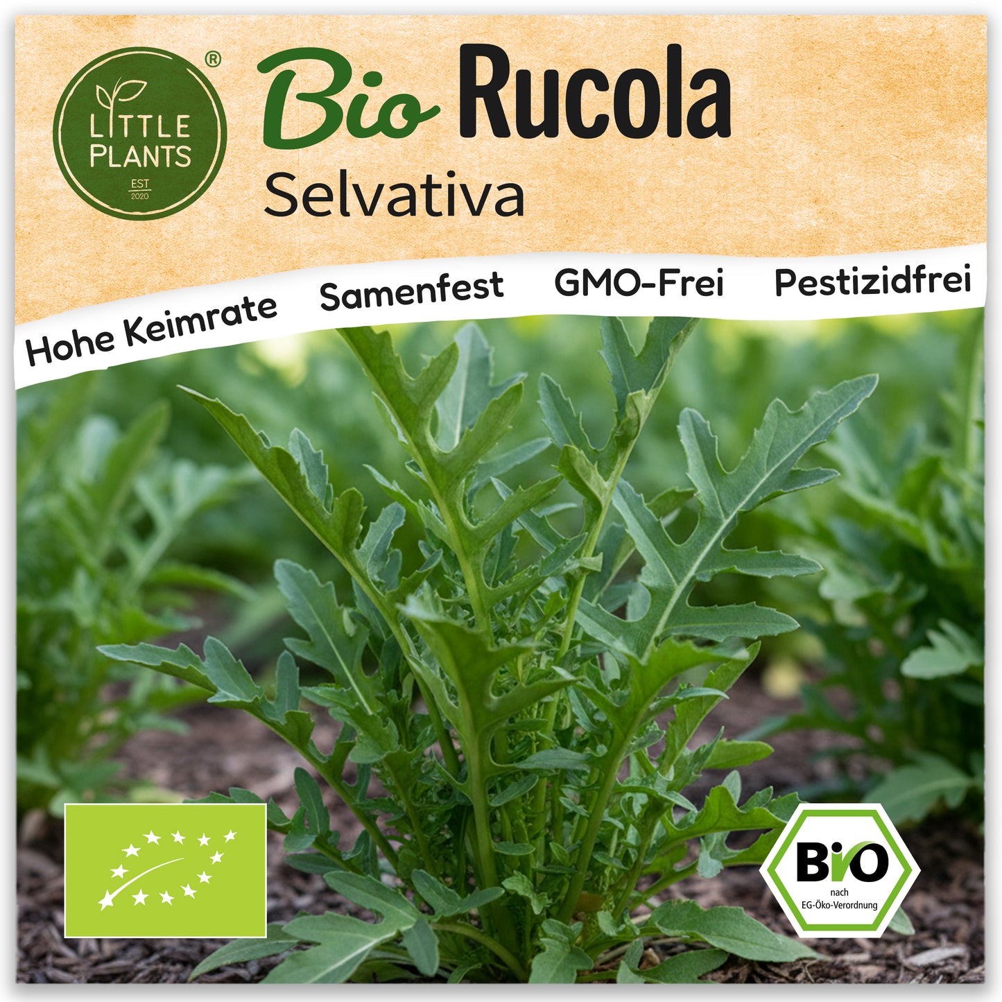 Bio-Rucola (Selvatica)